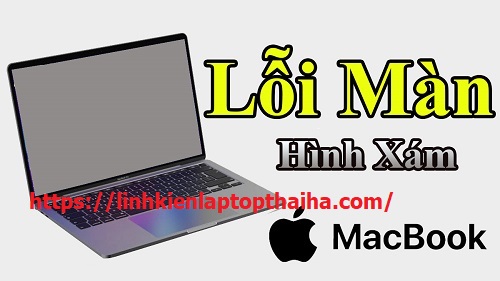 loi-man-hinh-macbook-xam