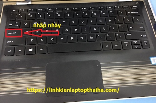 lỗi caps lock nhấp nháy