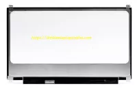 Thay Màn Hình Laptop Asus Giá Bao Nhiêu Tiền?