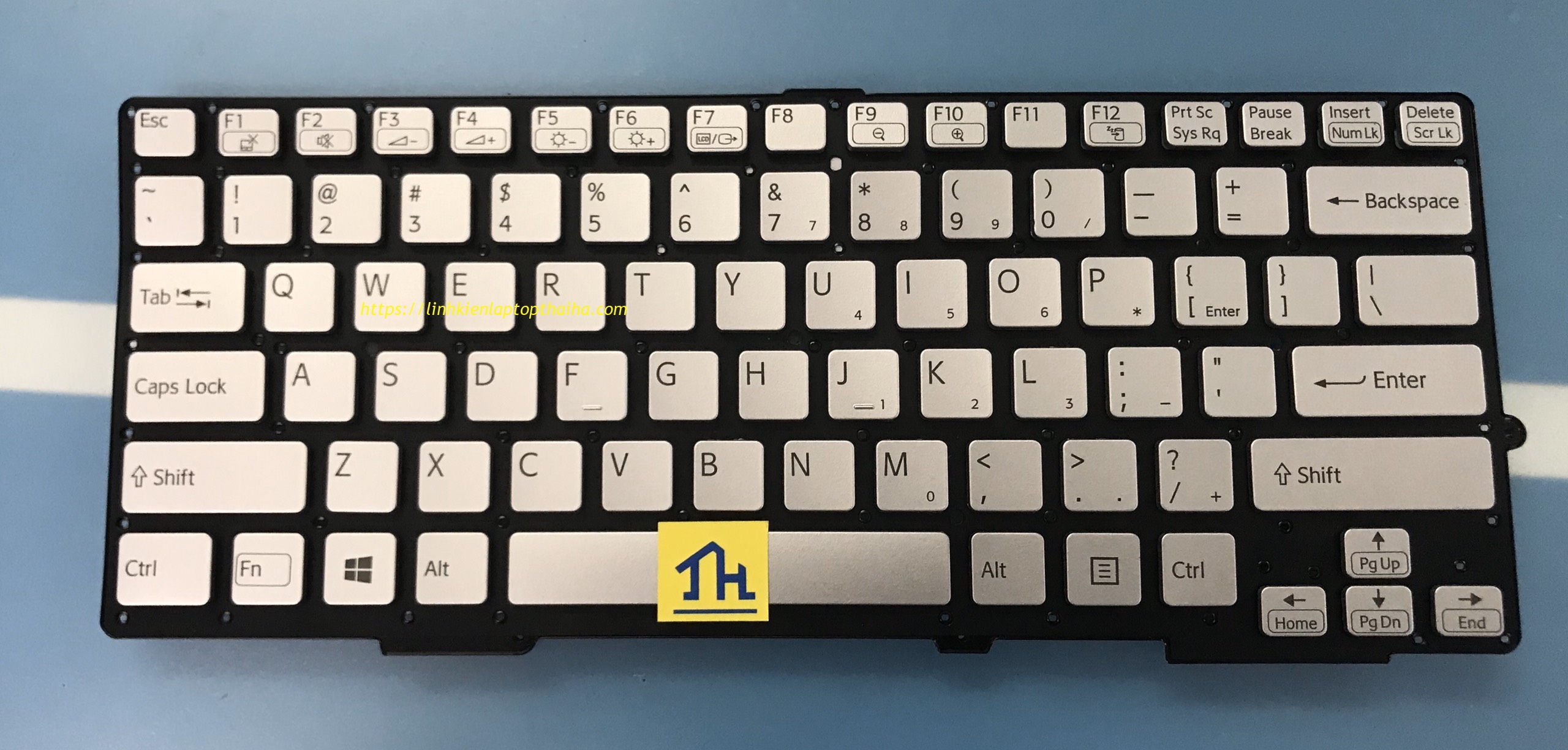 SVS13.