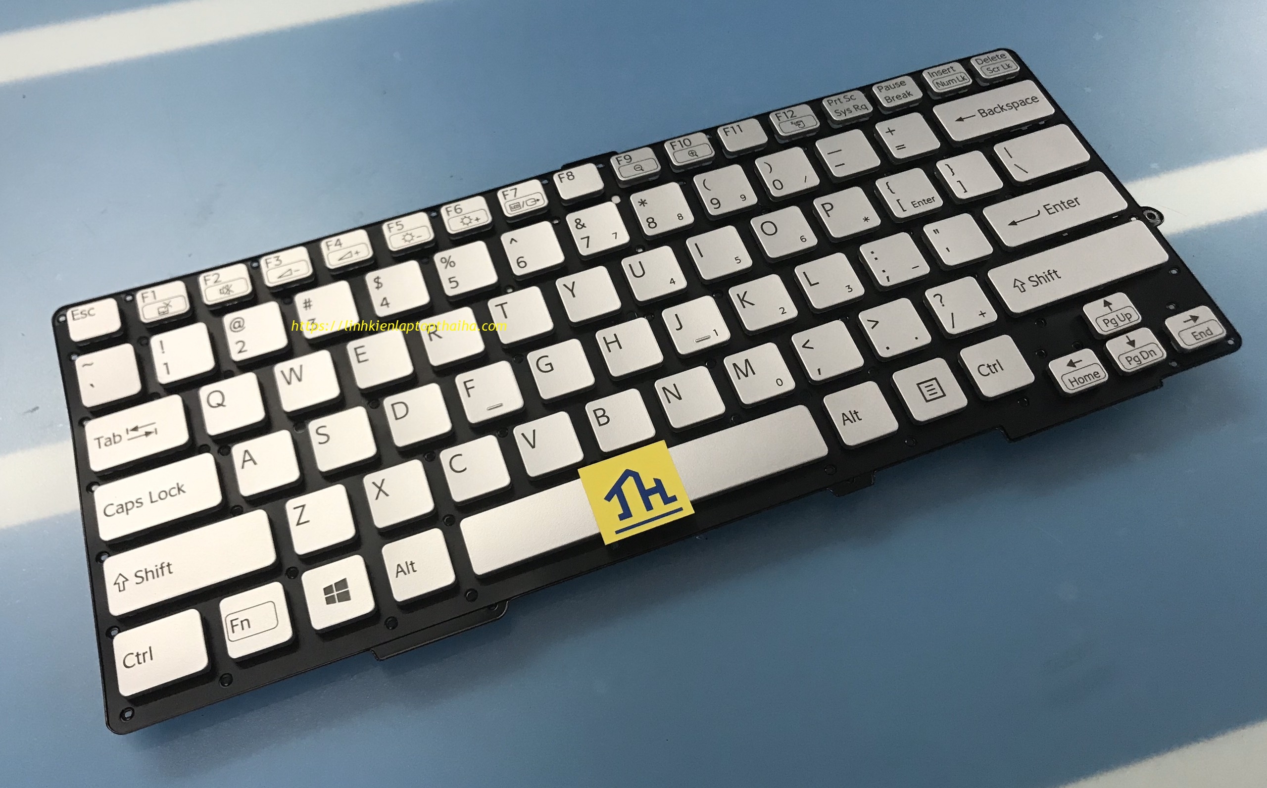 Svs13