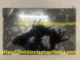 Màn hình laptop HP Envy X360 13m AG001DX