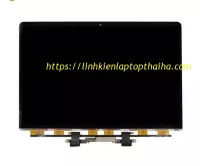 Màn hình Macbook Pro 2019 13 inch A2289