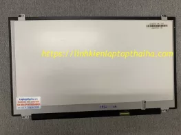 Màn hình laptop HP ProBook 455 G8