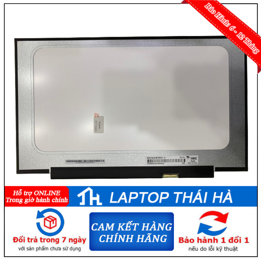 Màn hình laptop Dell Alienware M15 R6