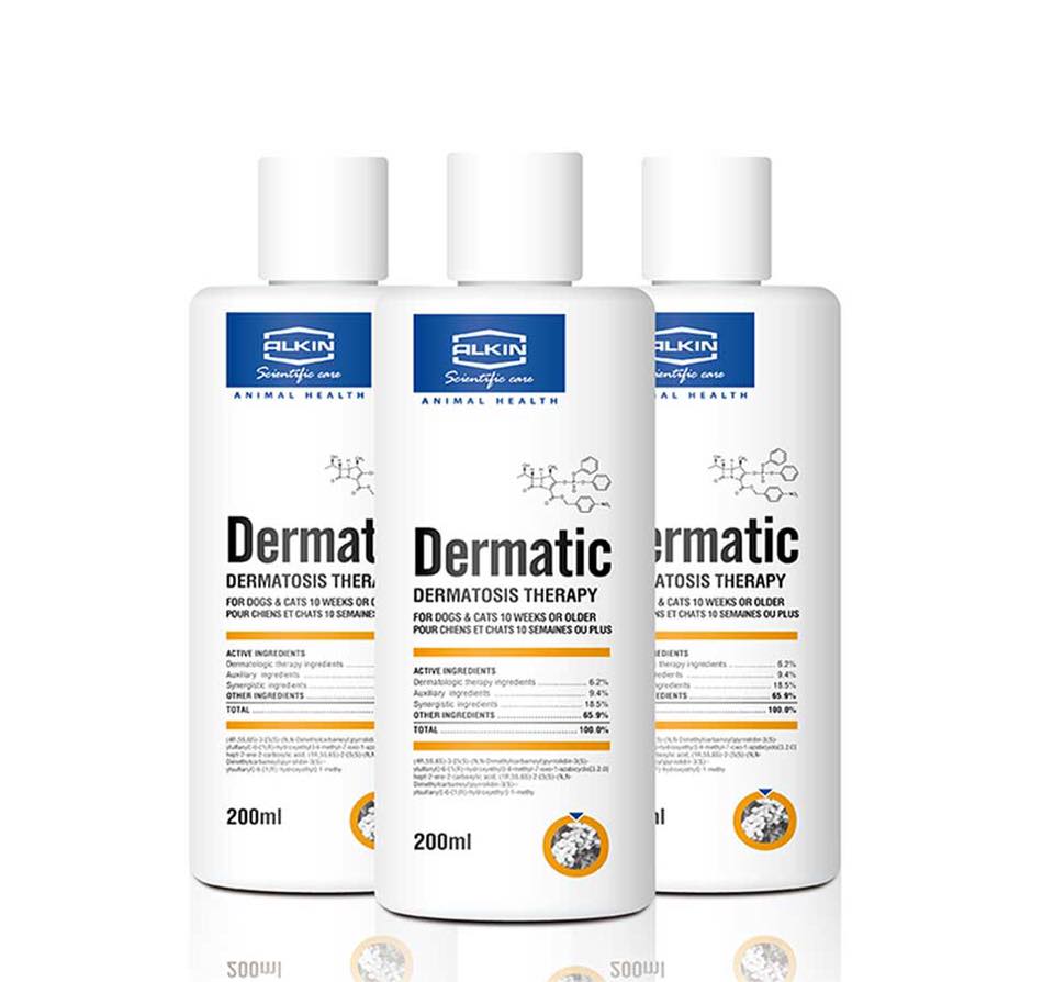 DERMATIC - Dầu tắm trị gầu da mưng mủ dành cho chó mèo