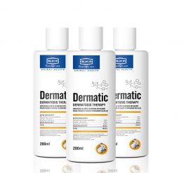 DERMATIC - Dầu tắm trị gầu da mưng mủ dành cho chó mèo