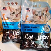 CÁT VỆ SINH MÈO CAT LITTER hương trà xanh