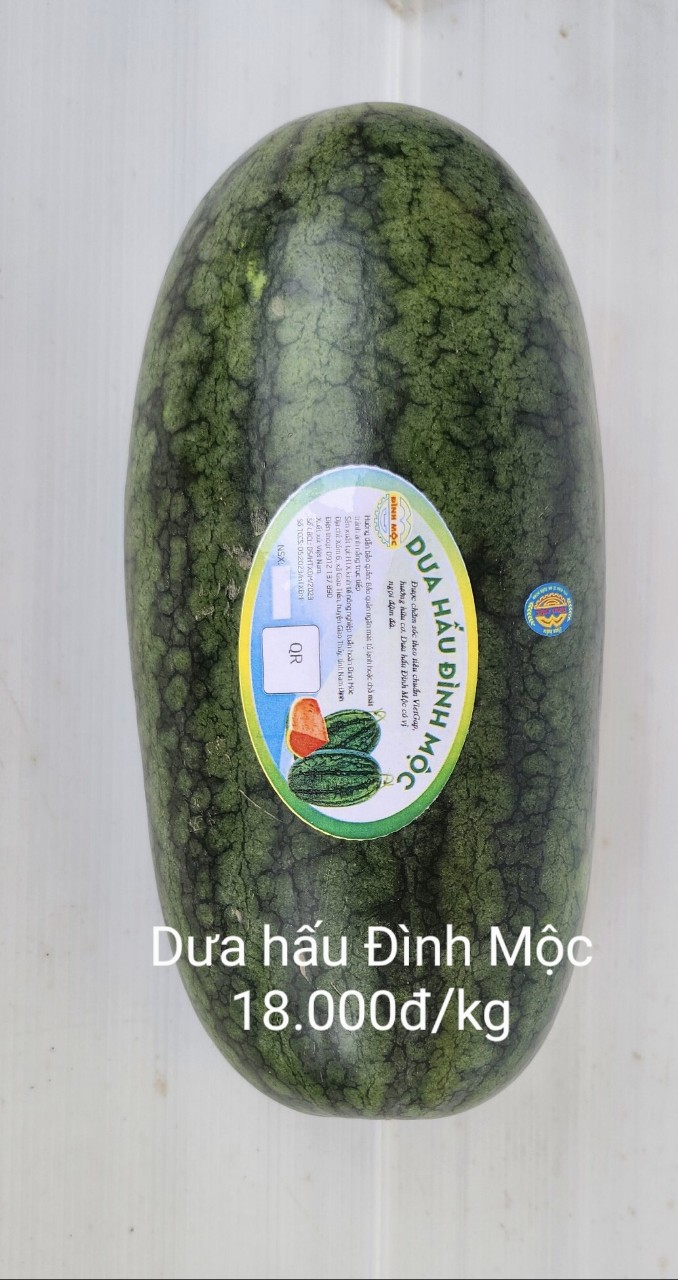 dưa hấu