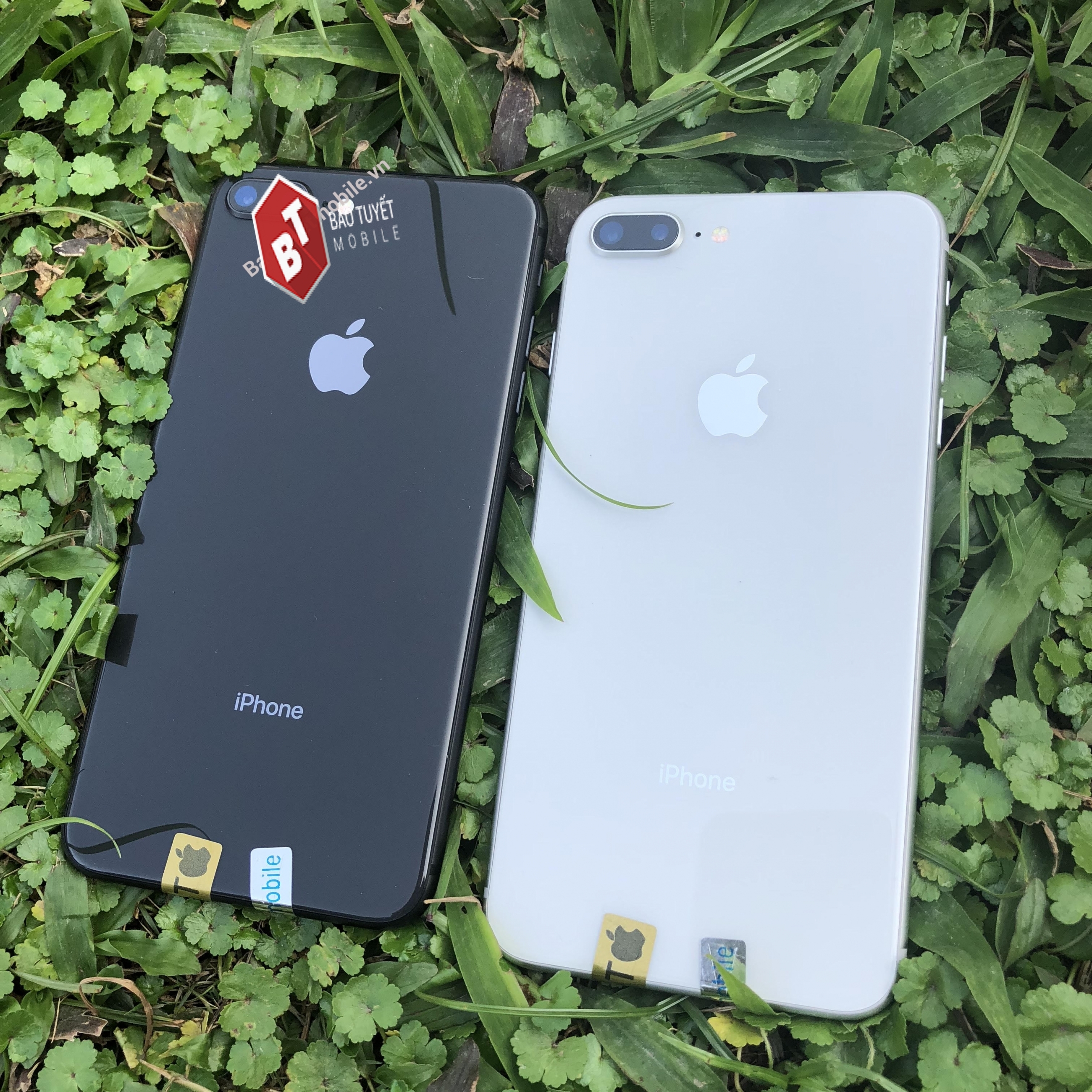 IPhone 8 PLUS 256GB CHÍNH HÃNG BẢN QUỐC TẾ CŨ 95% CÒN MỚI 99%