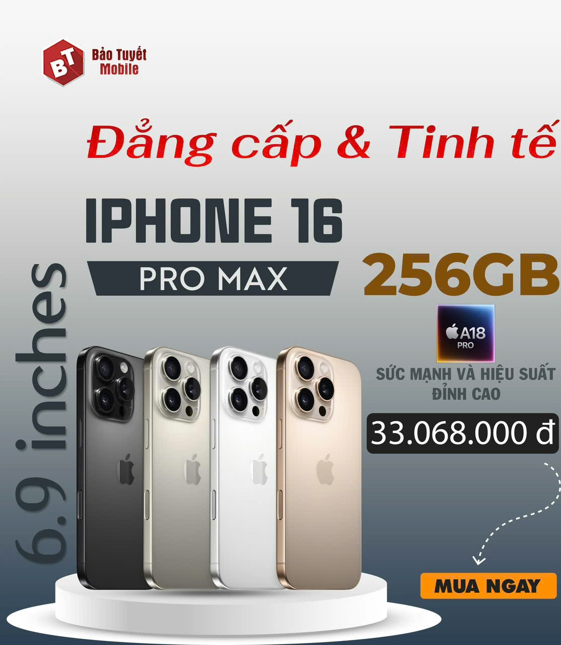 iPhone 15 Series