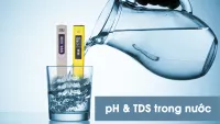 Độ pH và TDS trong nước là gì? Làm thế nào nó có thể được kiểm soát?