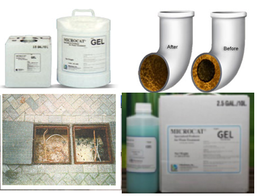 MICROCAT GEL – CHẾ PHẨM XỬ LÝ NƯỚC ĐƯỜNG ỐNG, BẪY MỠ NHÀ ĂN
