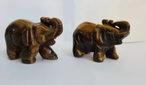 VOI ĐÁ MẮT HỔ TỰ NHIÊN