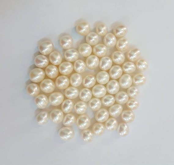 17795687_1685691211725063_2762791220739413566_n (2)