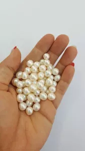 NGỌC TRAI NUÔI NƯỚC NGỌT TỰ NHIÊN