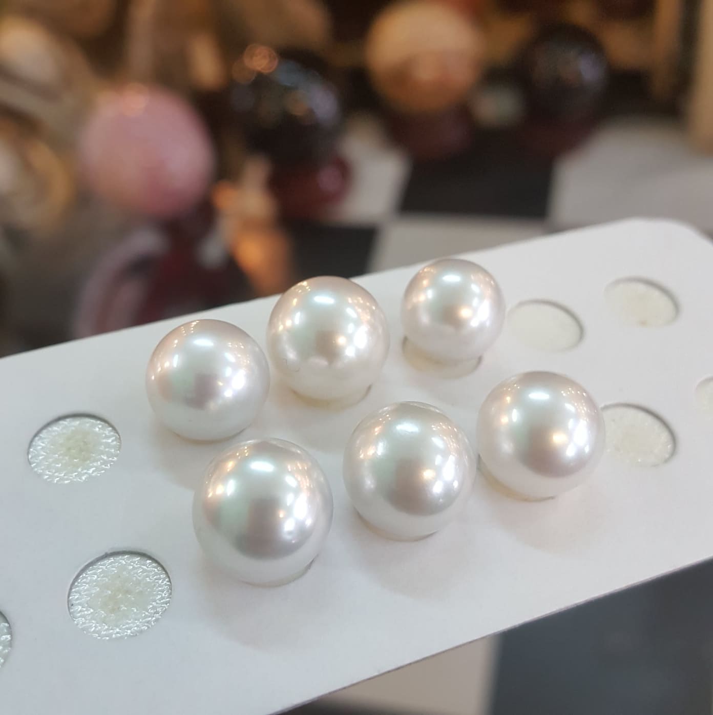 53607155_2308594542736299_5391335866708787200_n