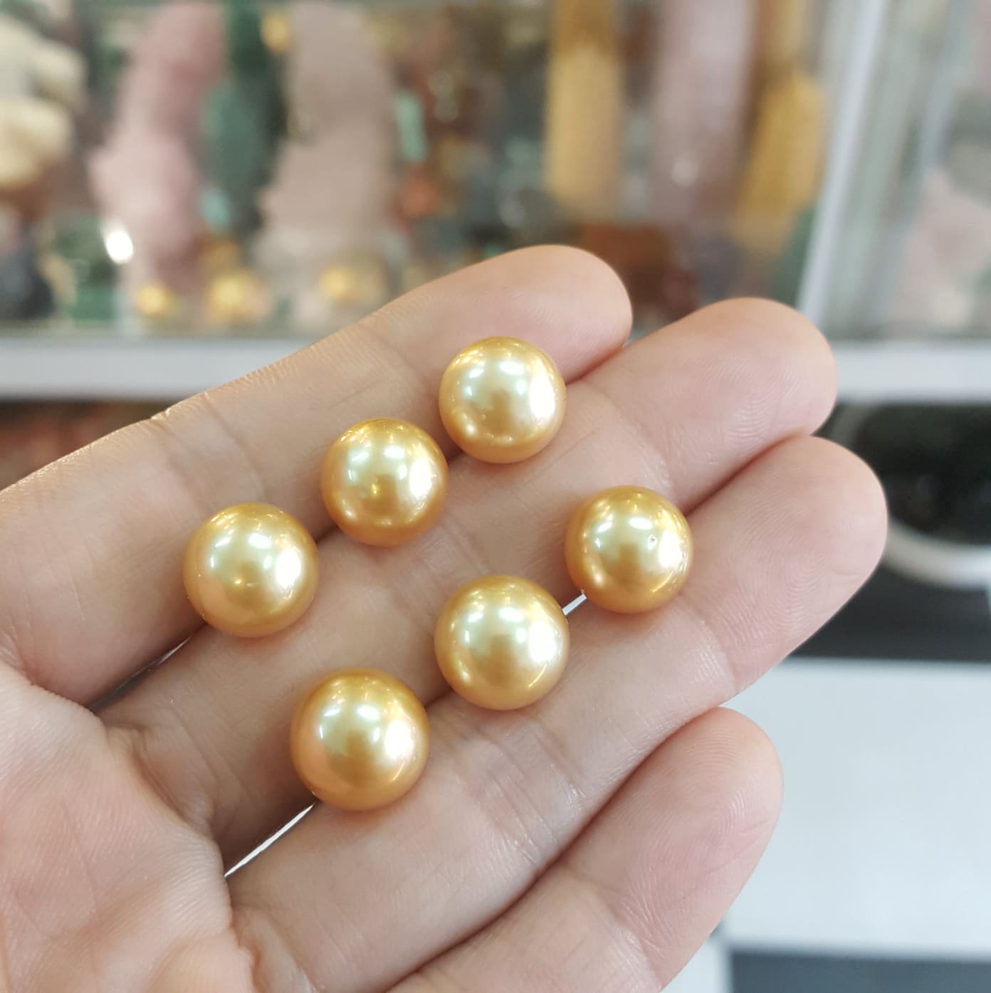 53618349_2373066539646415_689826993901928448_n