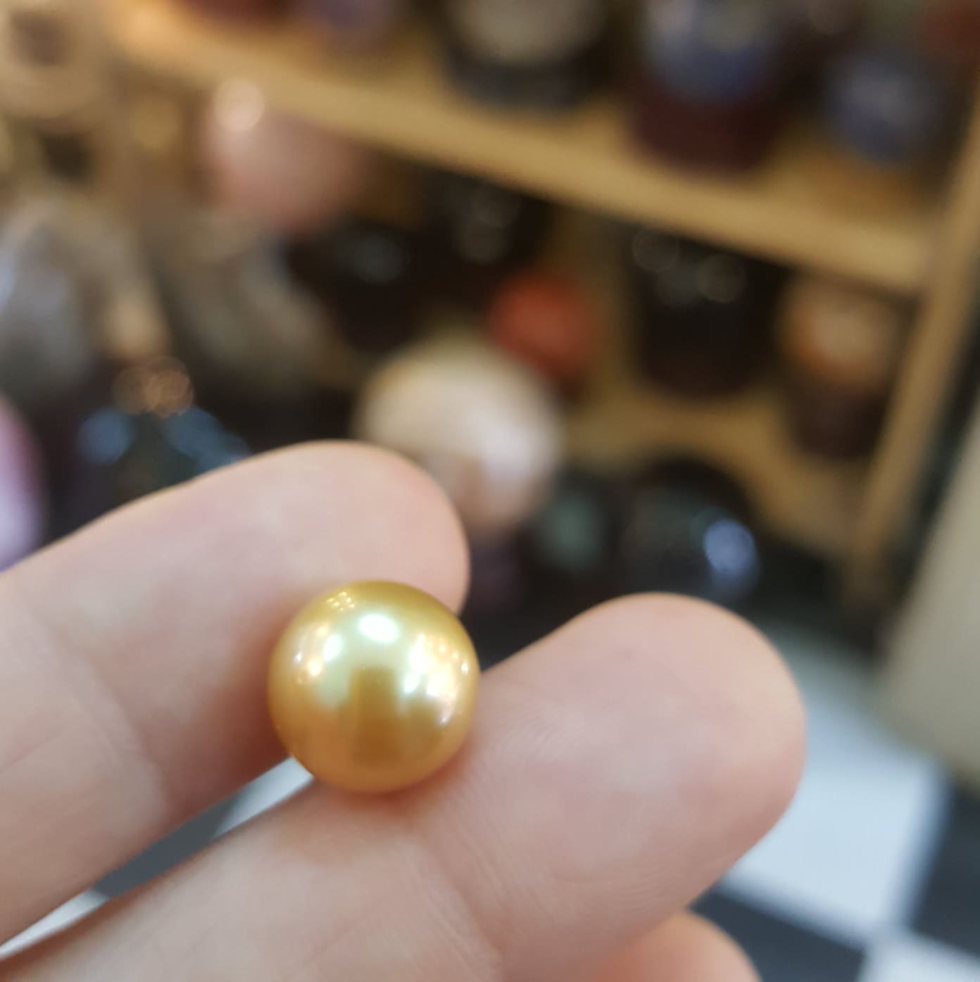 53662392_2123177031108431_2243746625451196416_n