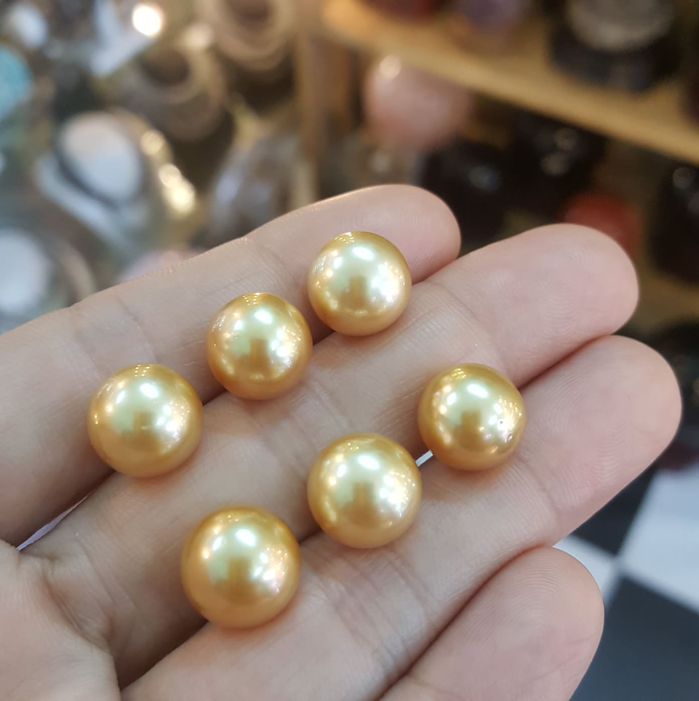 53305609_1493044480828774_8950932142326546432_n