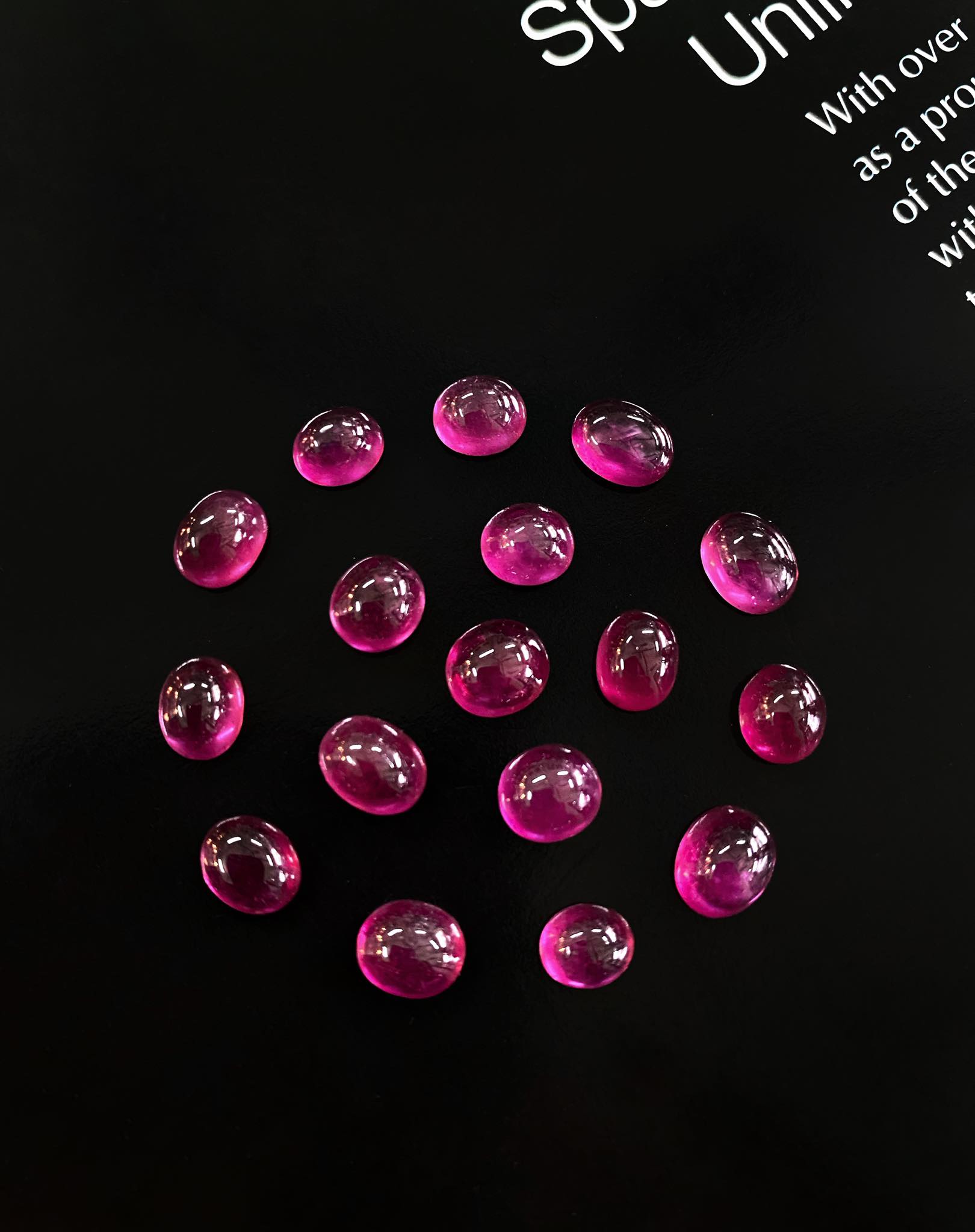 135301130_402543940998412_7611098496686861488_n