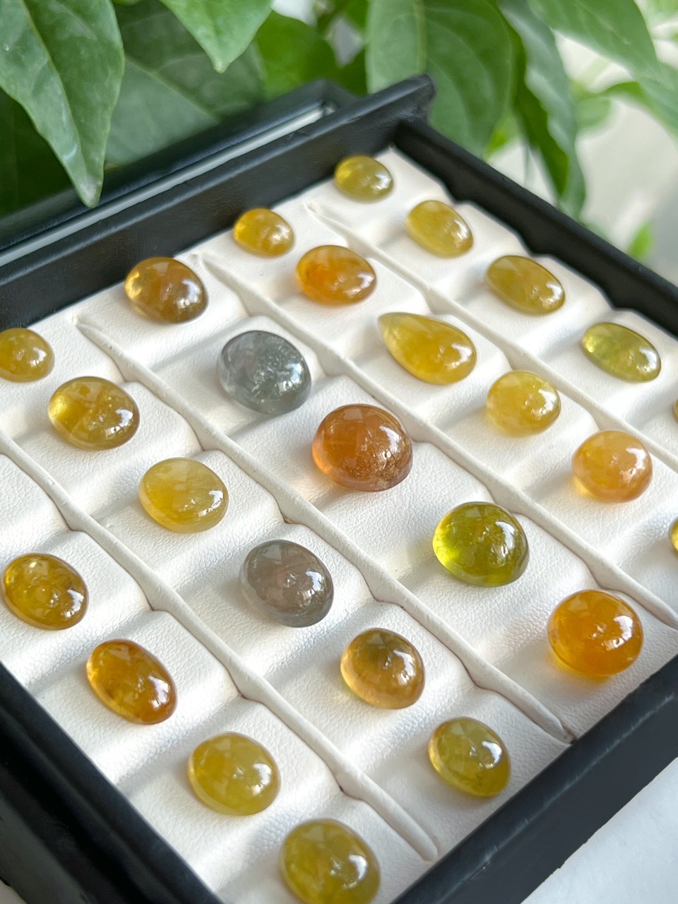 ĐÁ SAPPHIRE NAM PHI TỰ NHIÊN