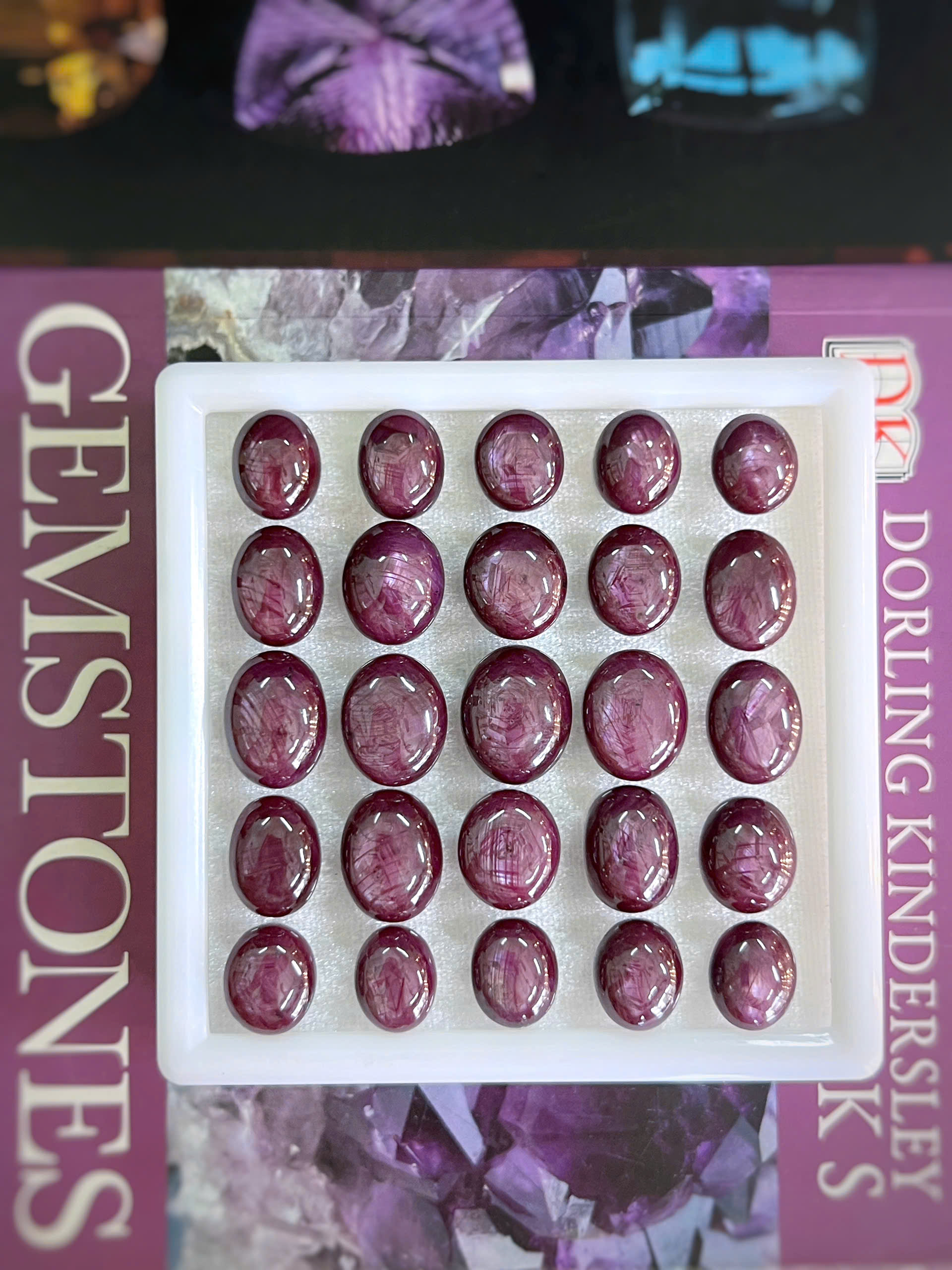 gen-h-z6720309187087_edd4270919d2994bc5433b749c89197f