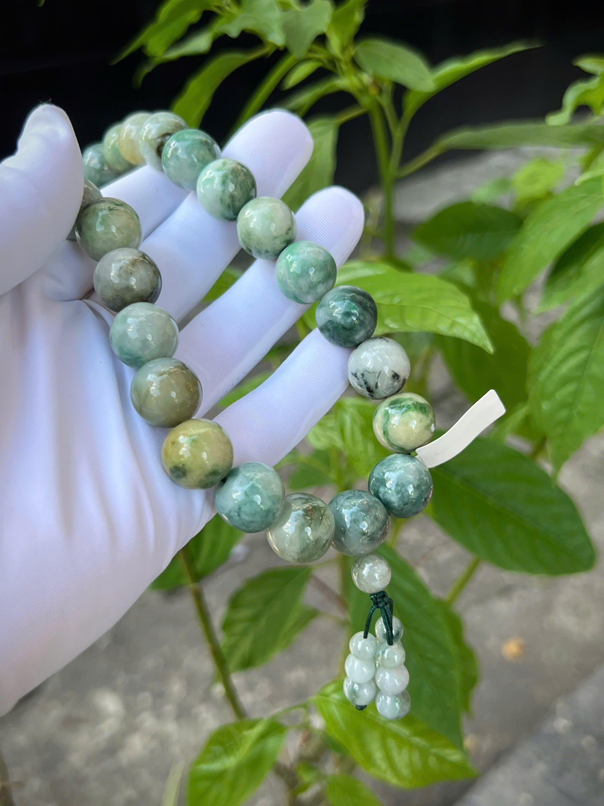 gen-h-z7069179233149_982c9febbf96d48f59e4cf165b21bcf9