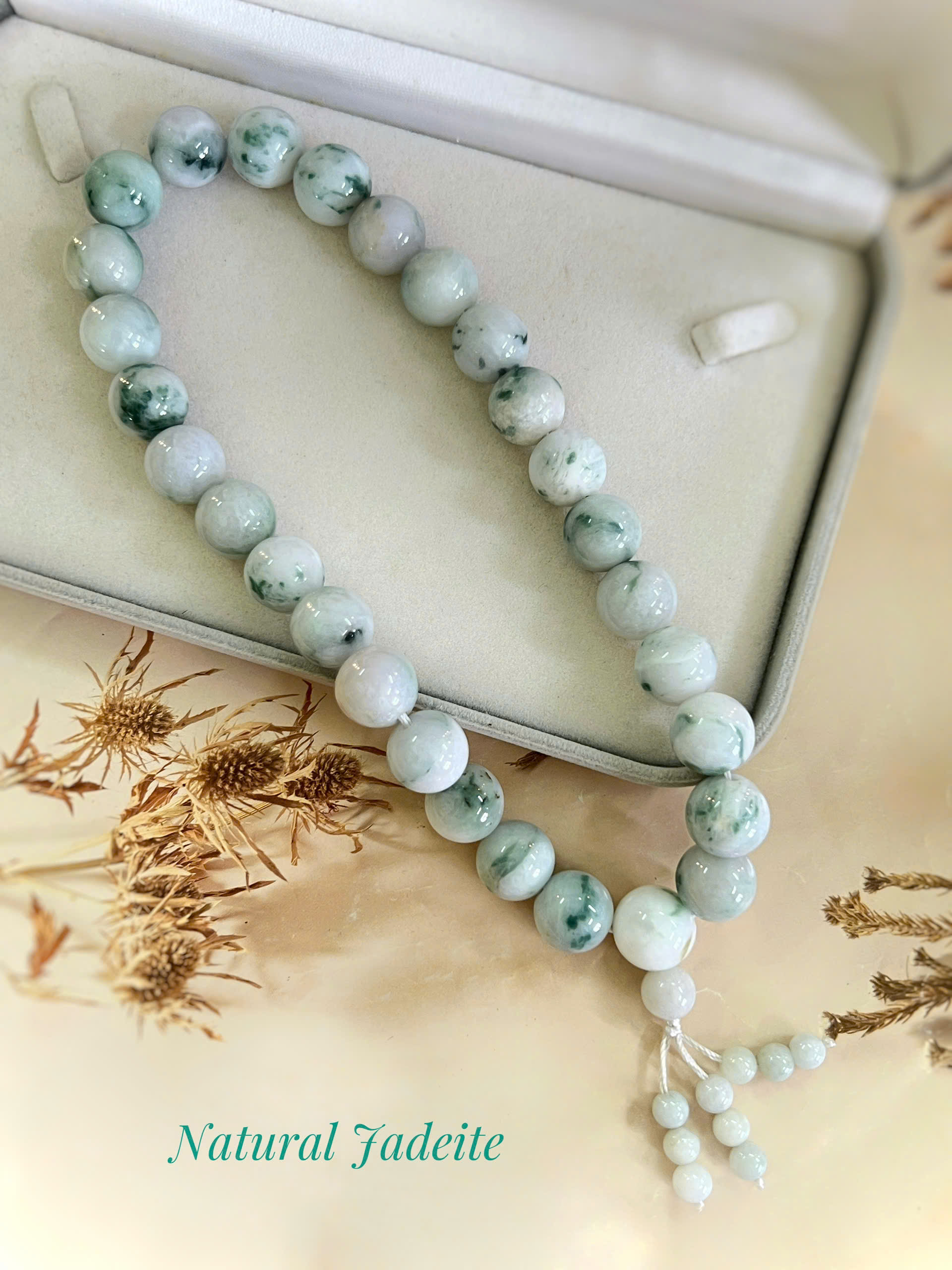 gen-h-z7069179247704_8494dffc23d4098caf34cf22f6f2283d