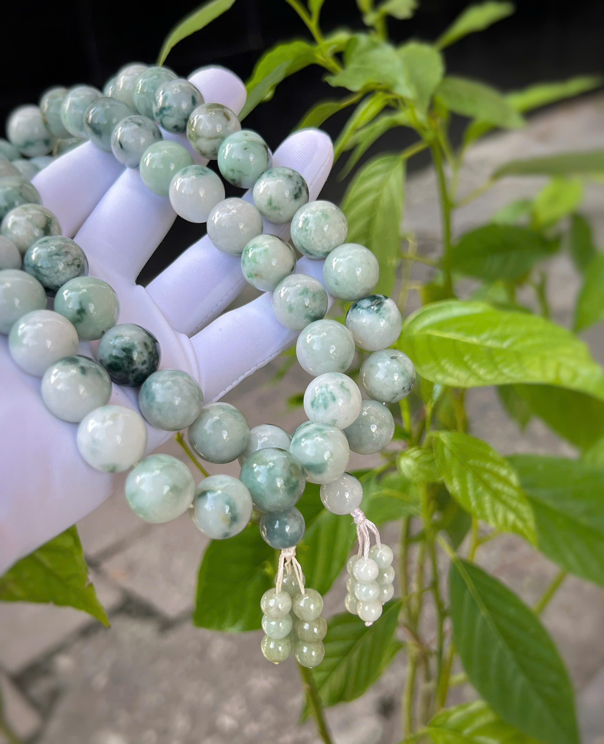 gen-h-z7069179252433_f3523aeef4951f4641de26932a0ea998