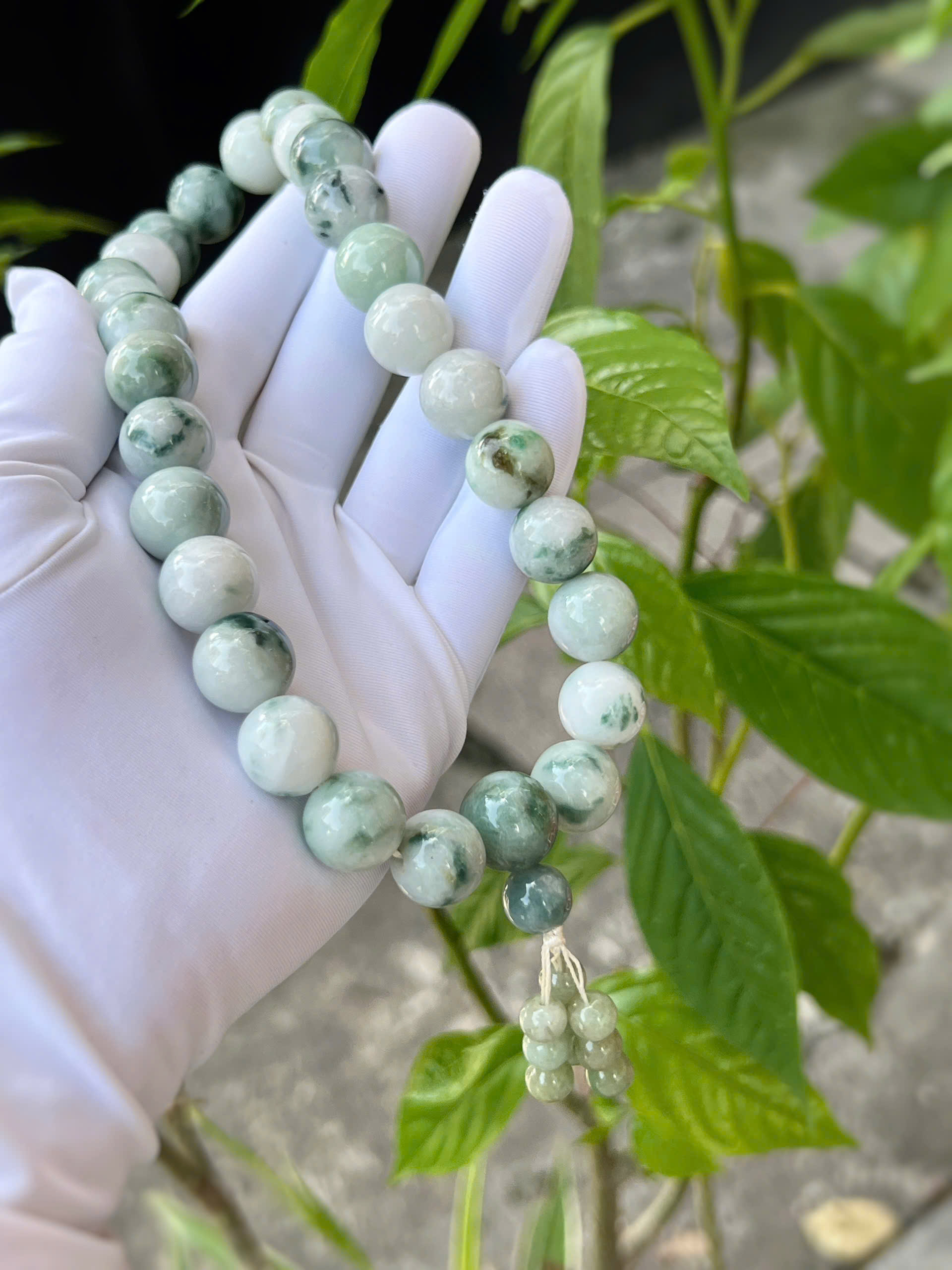 gen-h-z7069179259515_ffd72efd6f2b42f24f418f1655f4123c