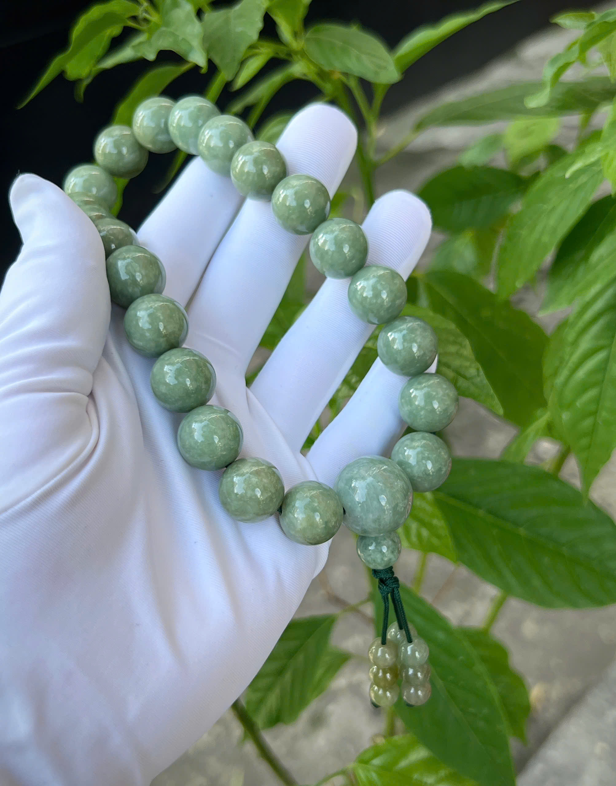 gen-h-z7069179273482_6dfebc73f7411108f3b31df10db4f1f8