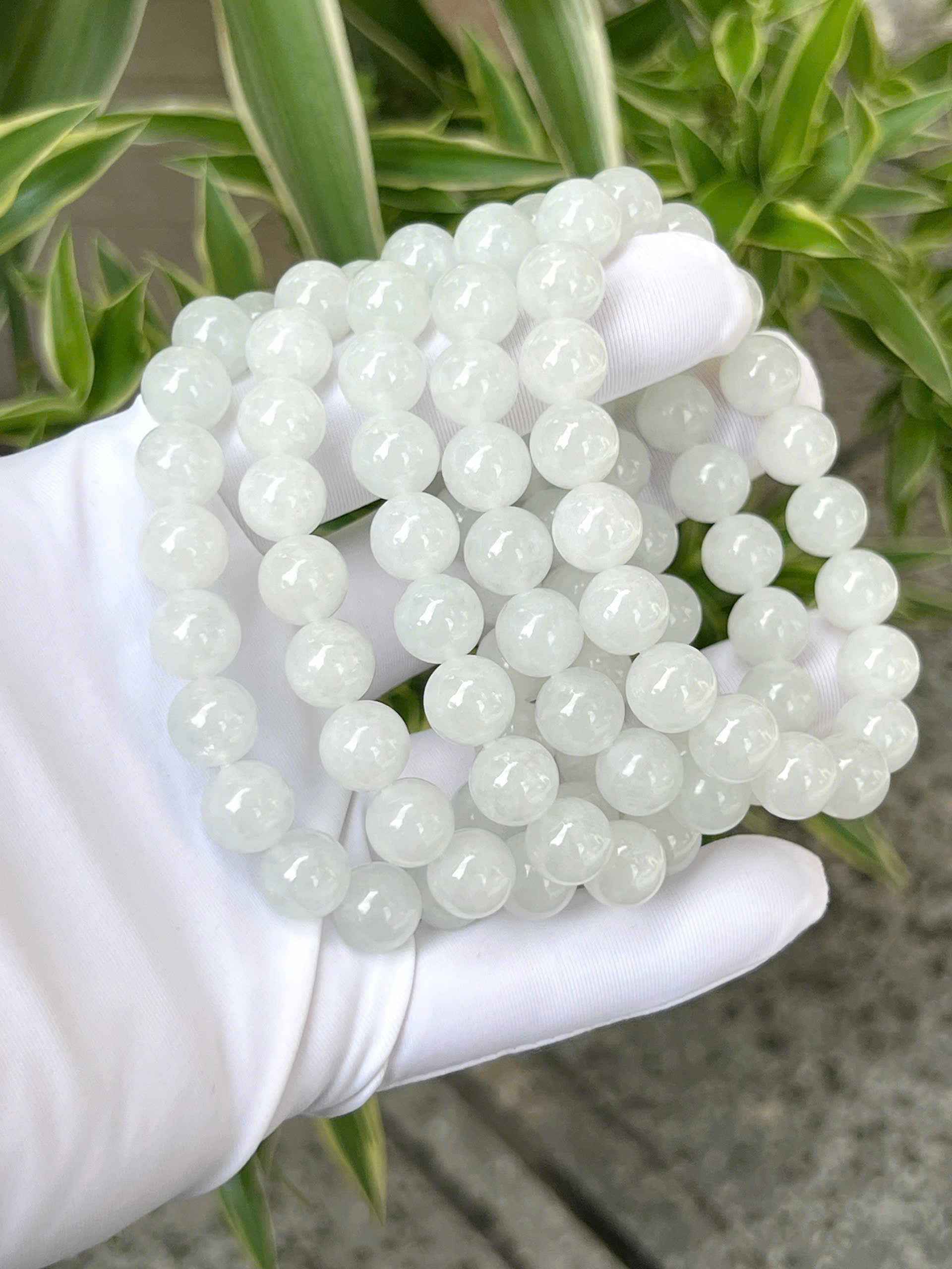 gen-h-z7207757545630_c6329846ac02f3ec54c49ec8551f5dc5