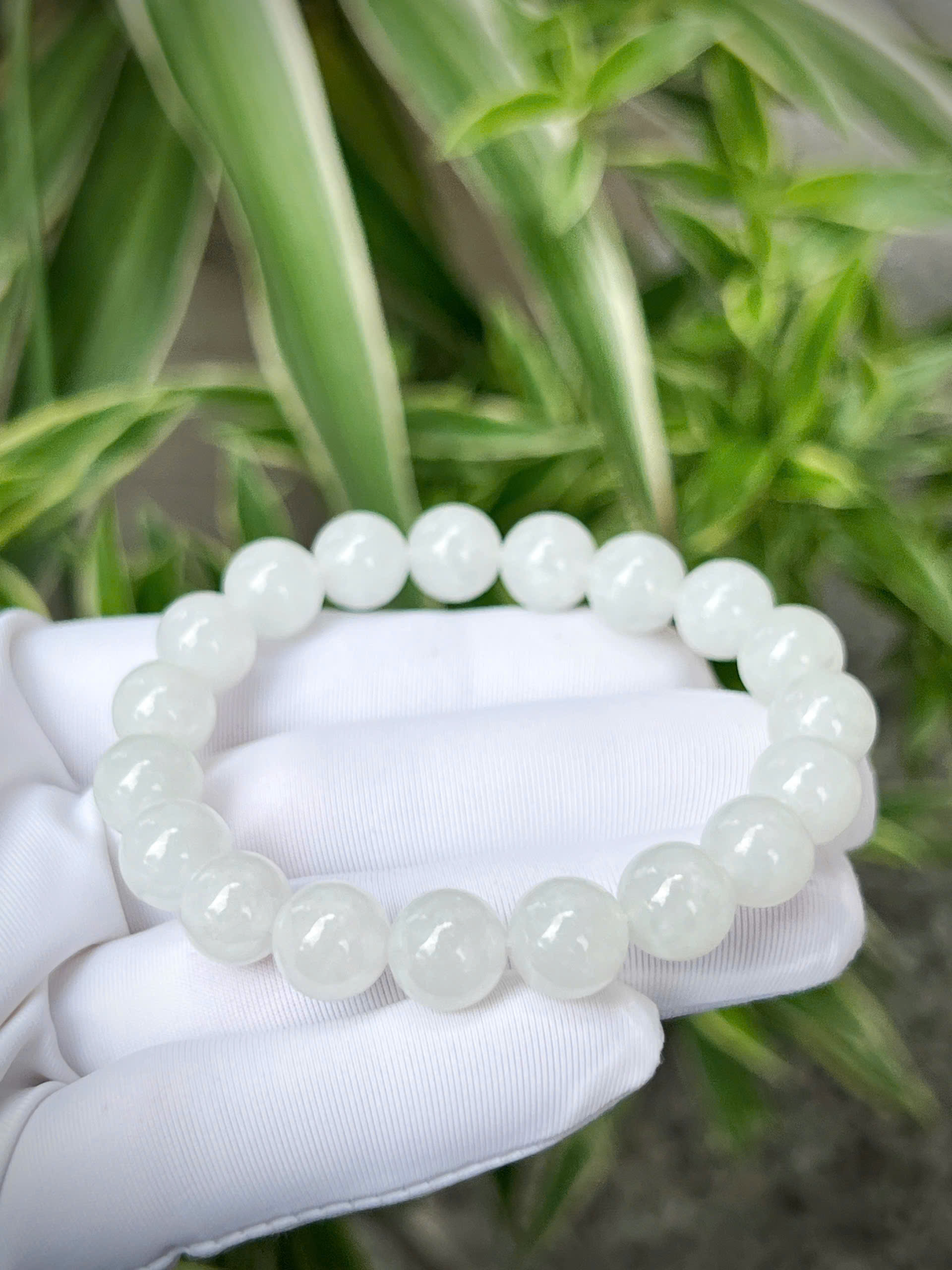 gen-h-z7207757570210_039268adbc2064a74b70cea9cf451233