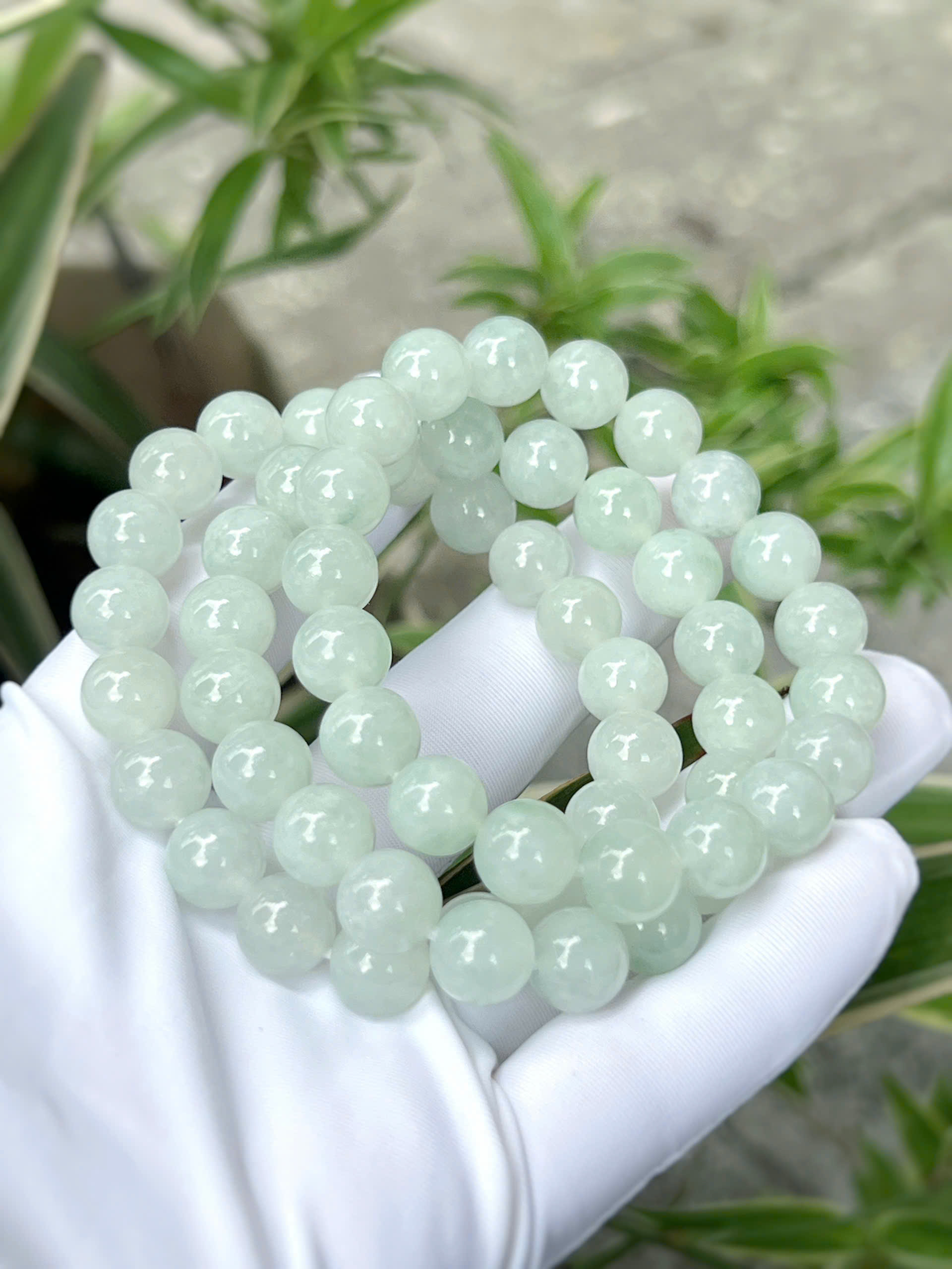 gen-h-z7207757470309_d6ae32796e06eeb7c22b5ea54d66778e