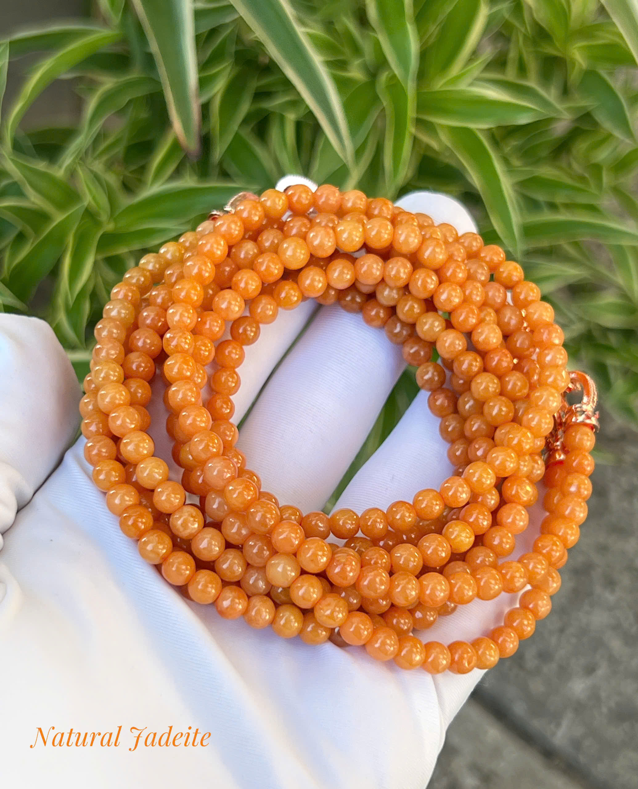 gen-h-z7232182165089_1f6b67c5ab5a7c3ce691585850c5f6d6