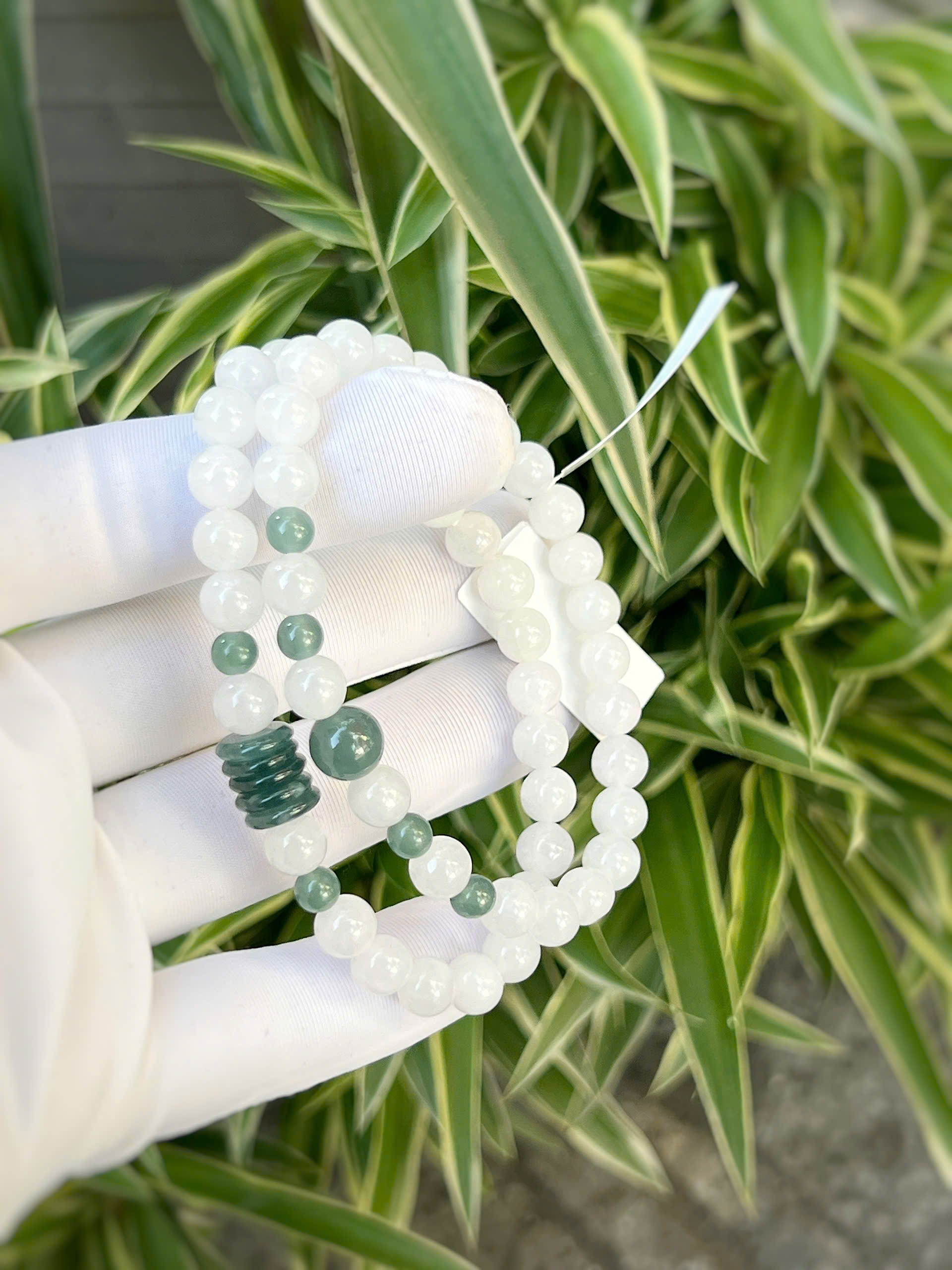 gen-h-z7270584620216_a71b77e7a91ada7600f5dee648ee4e0a