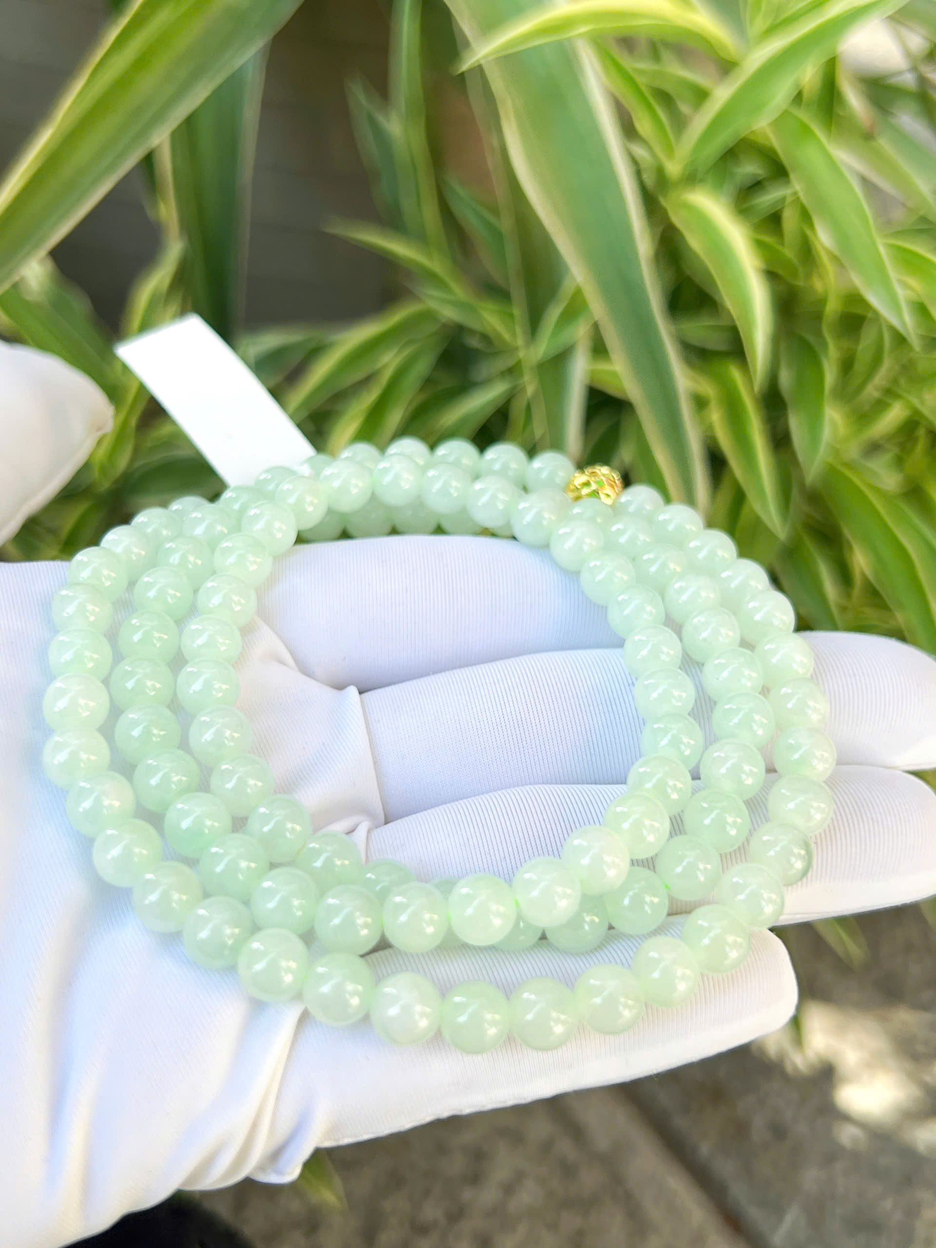 gen-h-z7270585688495_0e0d3d30e71baac7afa7f625bd4429ca