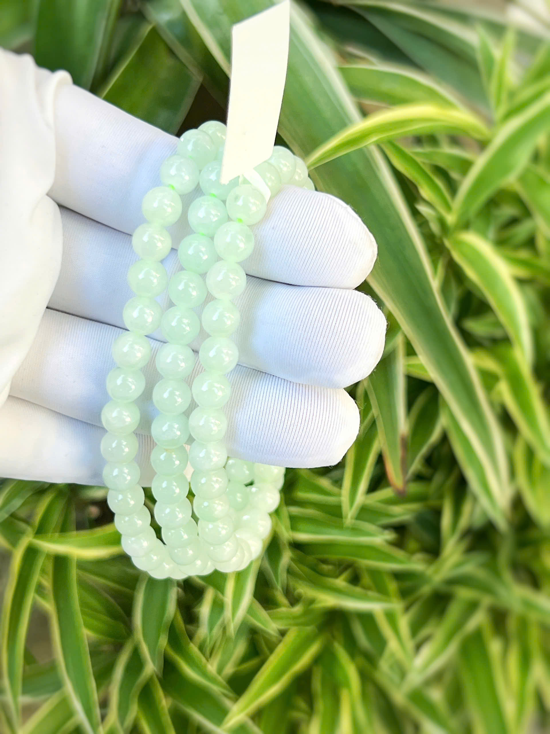 gen-h-z7270585692919_c4acdd03e13191f0a06e981c425af755