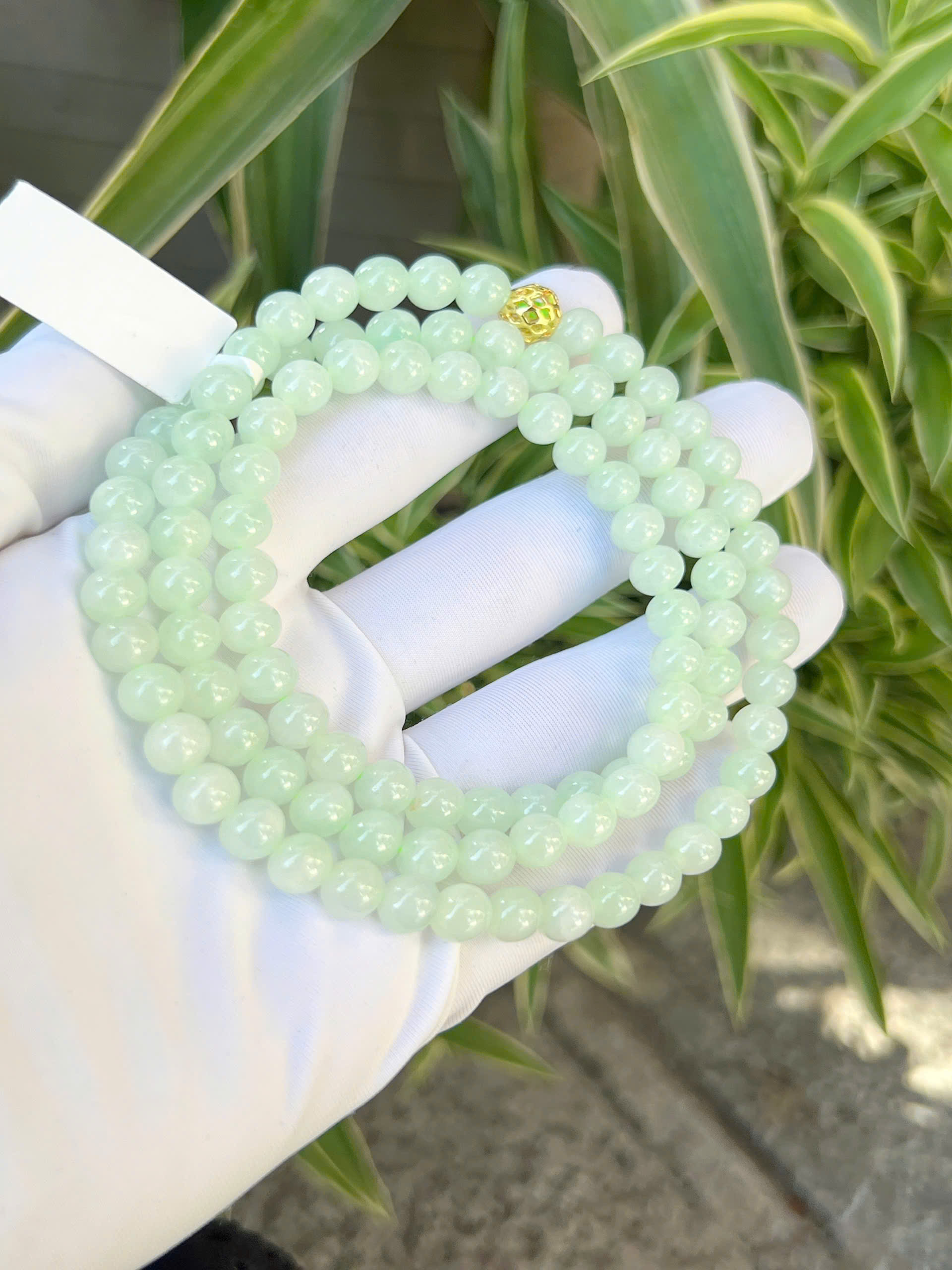 gen-h-z7270585699896_165fe6dd07d928775dc57523b507d3db