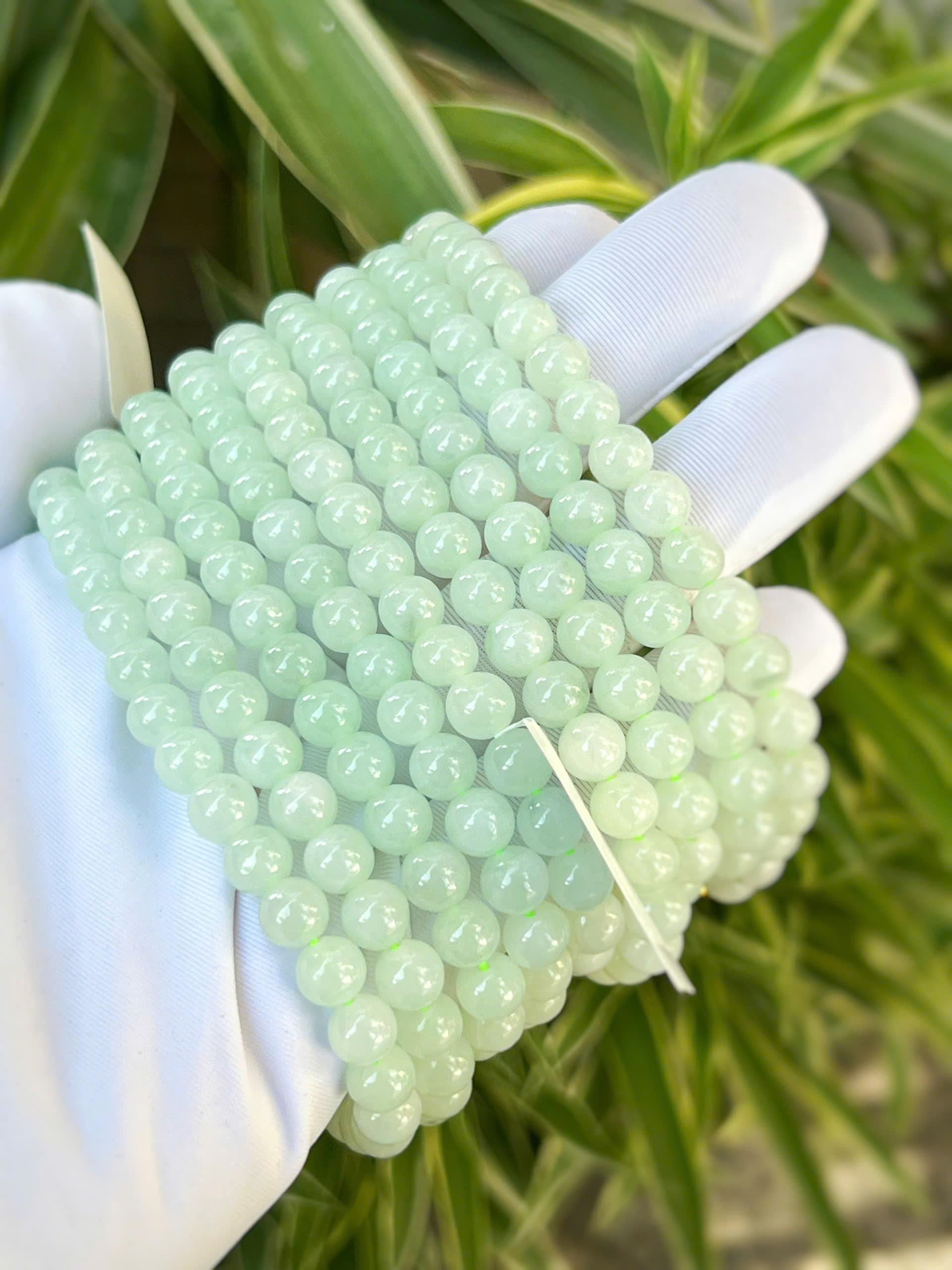 gen-h-z7270585708652_40647639bd186ec250d1f8ef214c996e