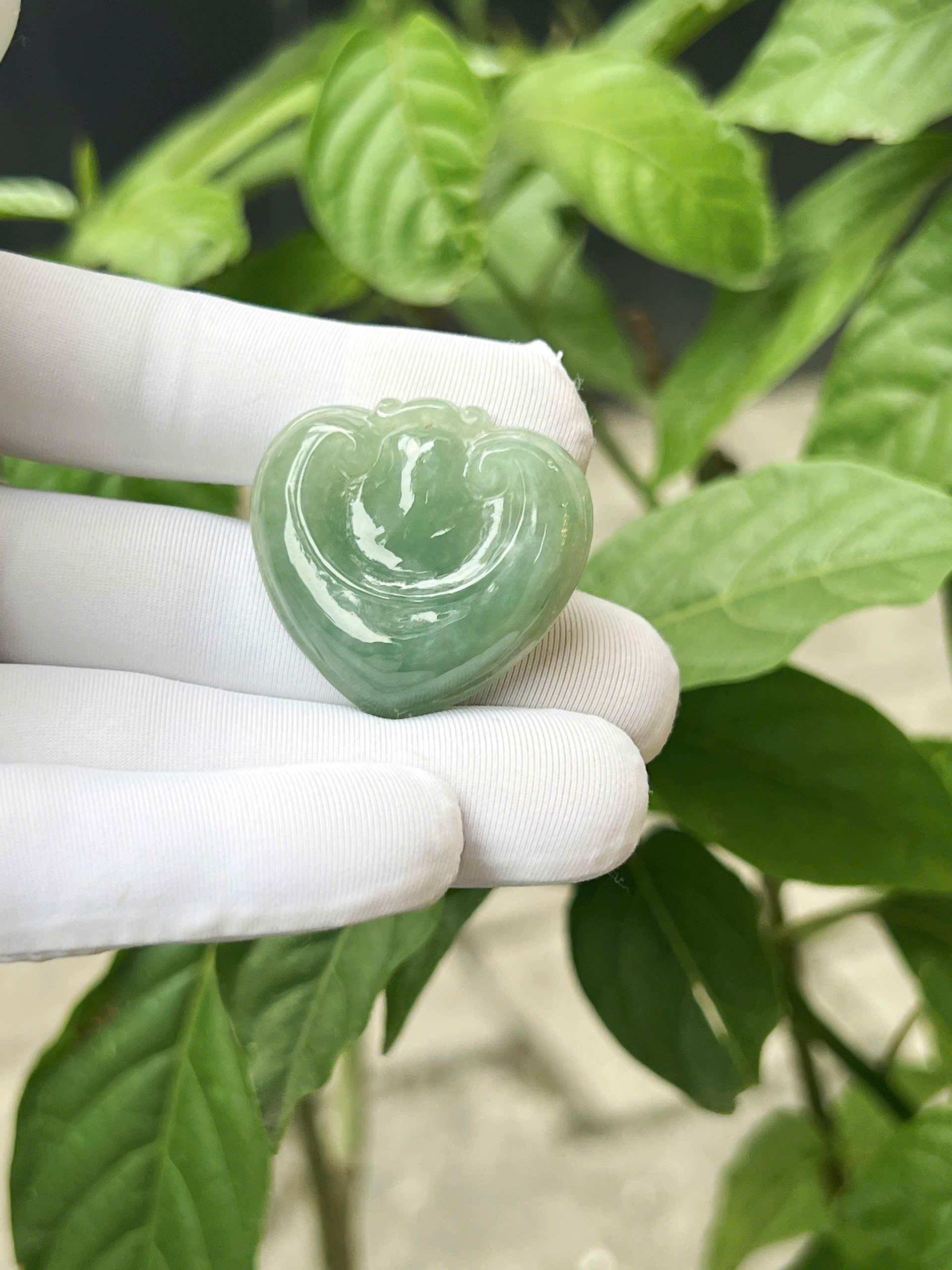 gen-h-z7304199998982_5903de91e49e042847b4eeea1992ee16