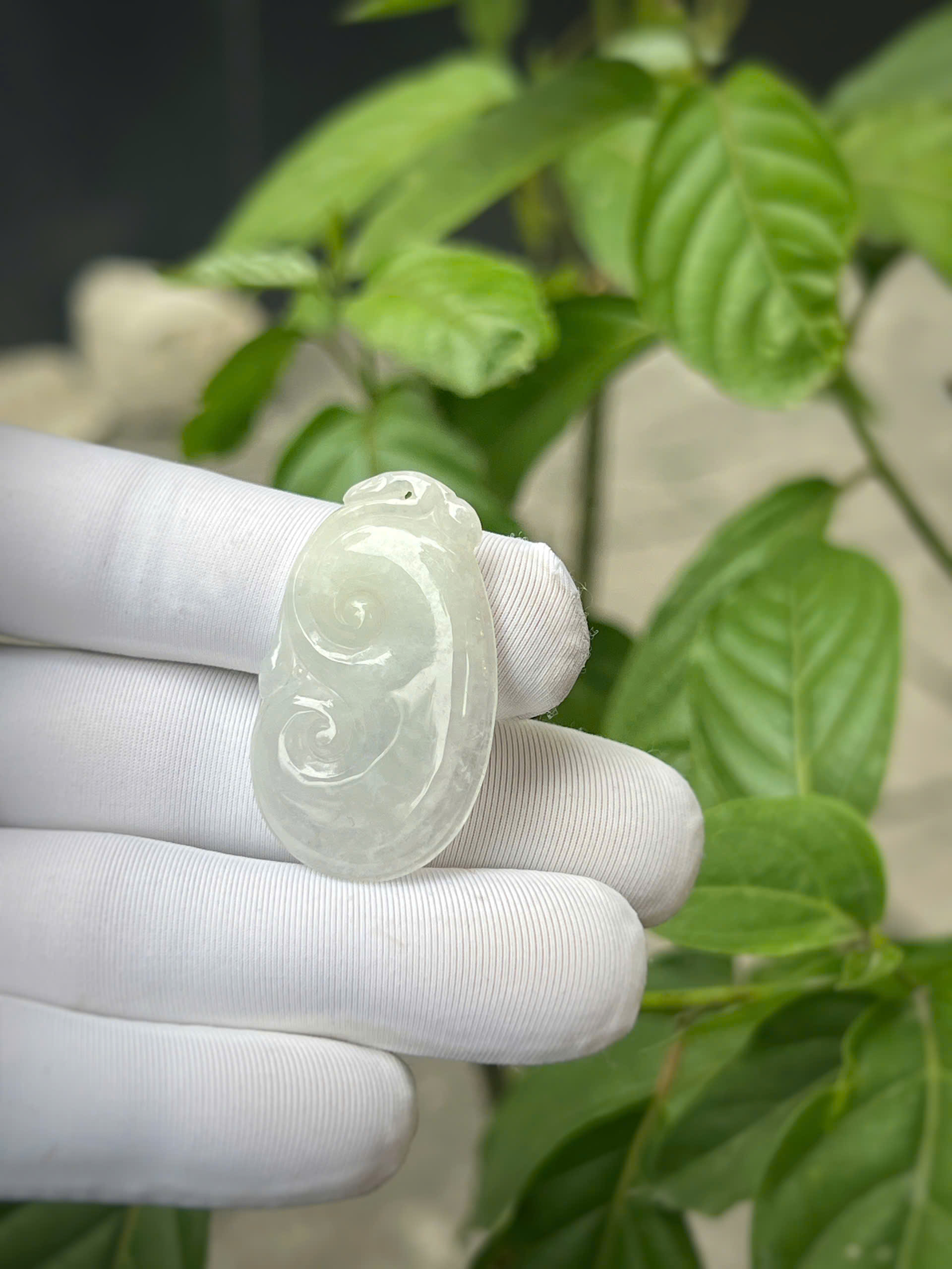 gen-h-z7304200018403_b15a82a605d844da61e76fb5cb5c34db