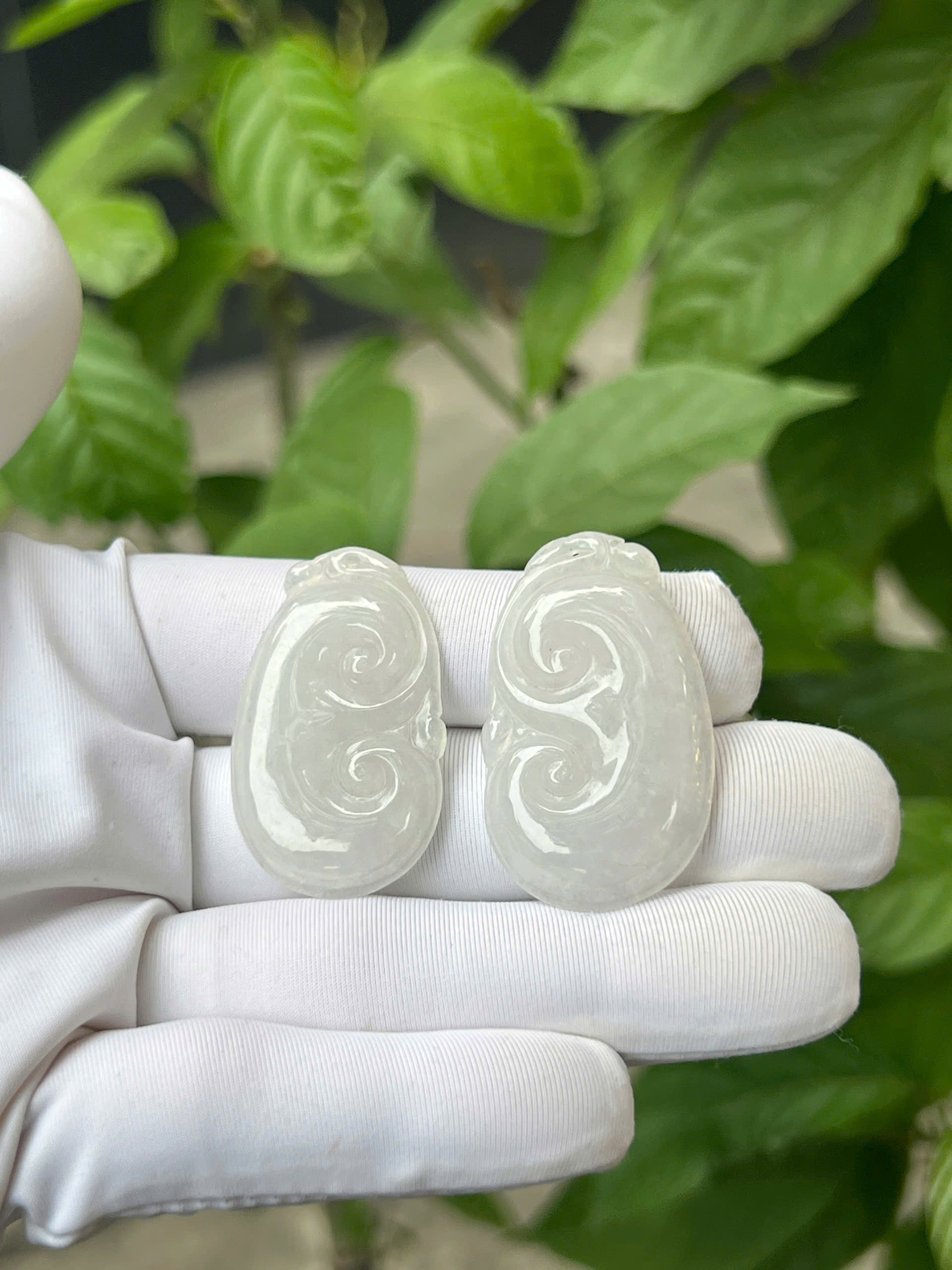 gen-h-z7304200028844_60f9db9d7def401335a036e276e1f731