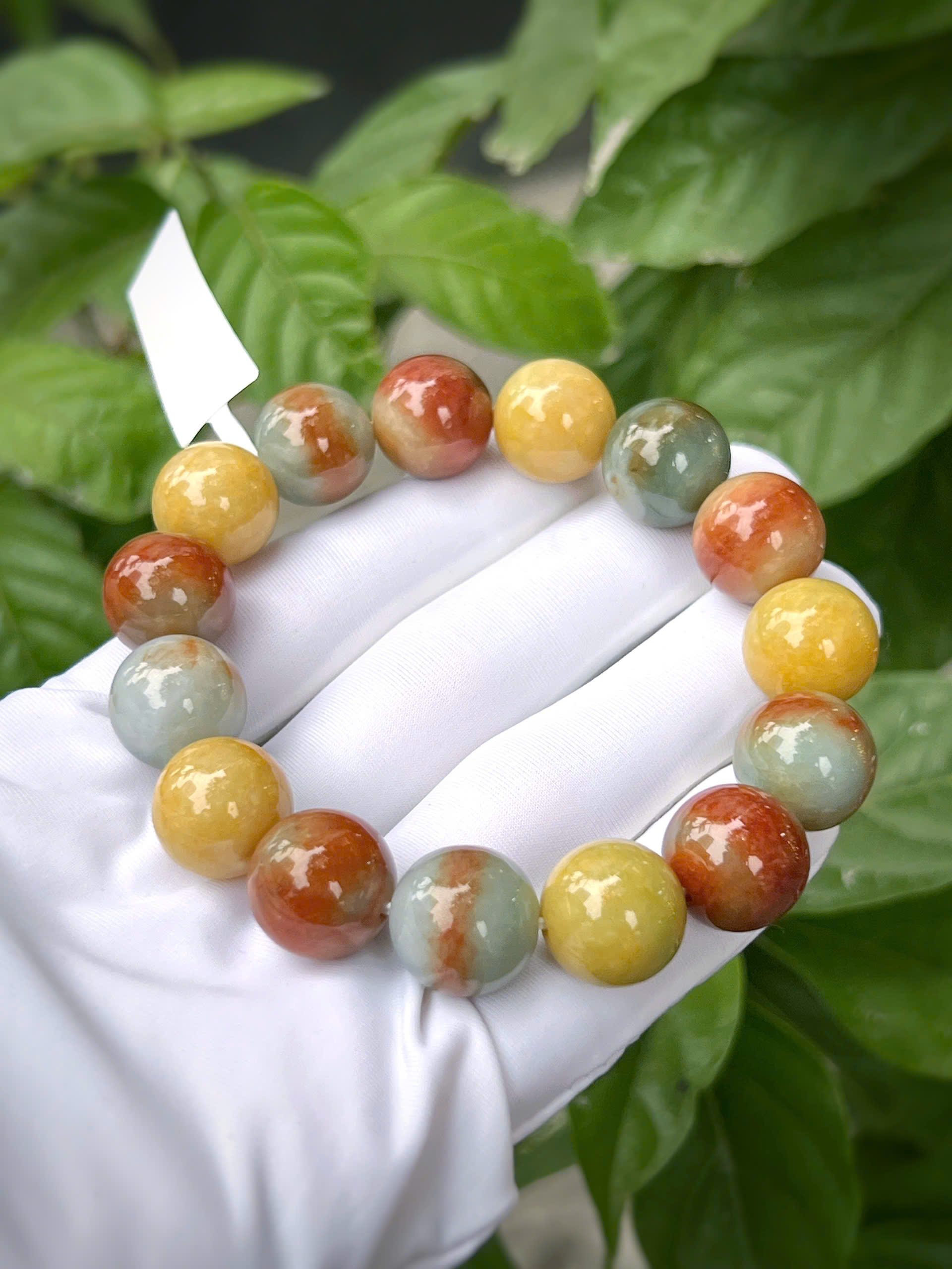 gen-h-z7318577674498_c931b51ec23766cf4ab46d5e19b96b06