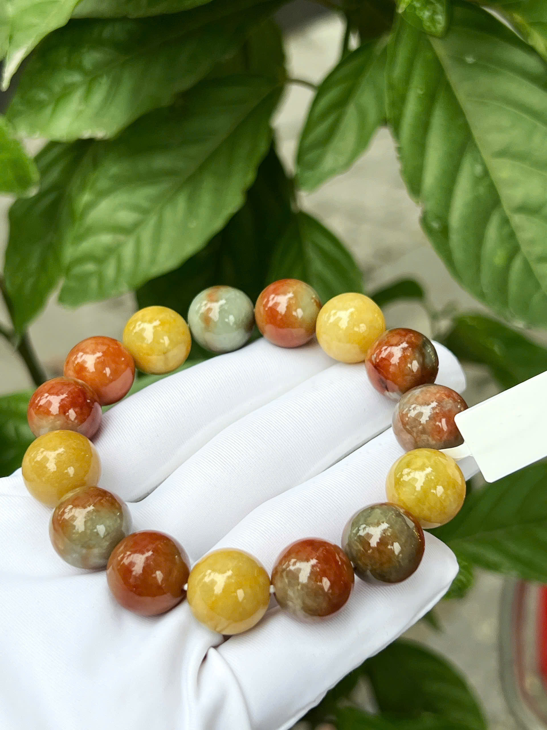 gen-h-z7318577679456_d188c1621f092c0de4178dd4f0e944c0