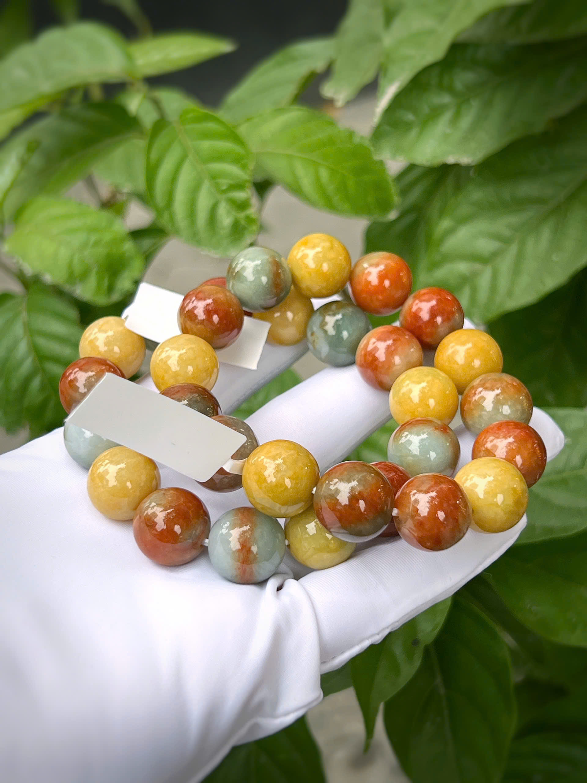 gen-h-z7318577687660_8d85f38c548f79dcd284f18621662689