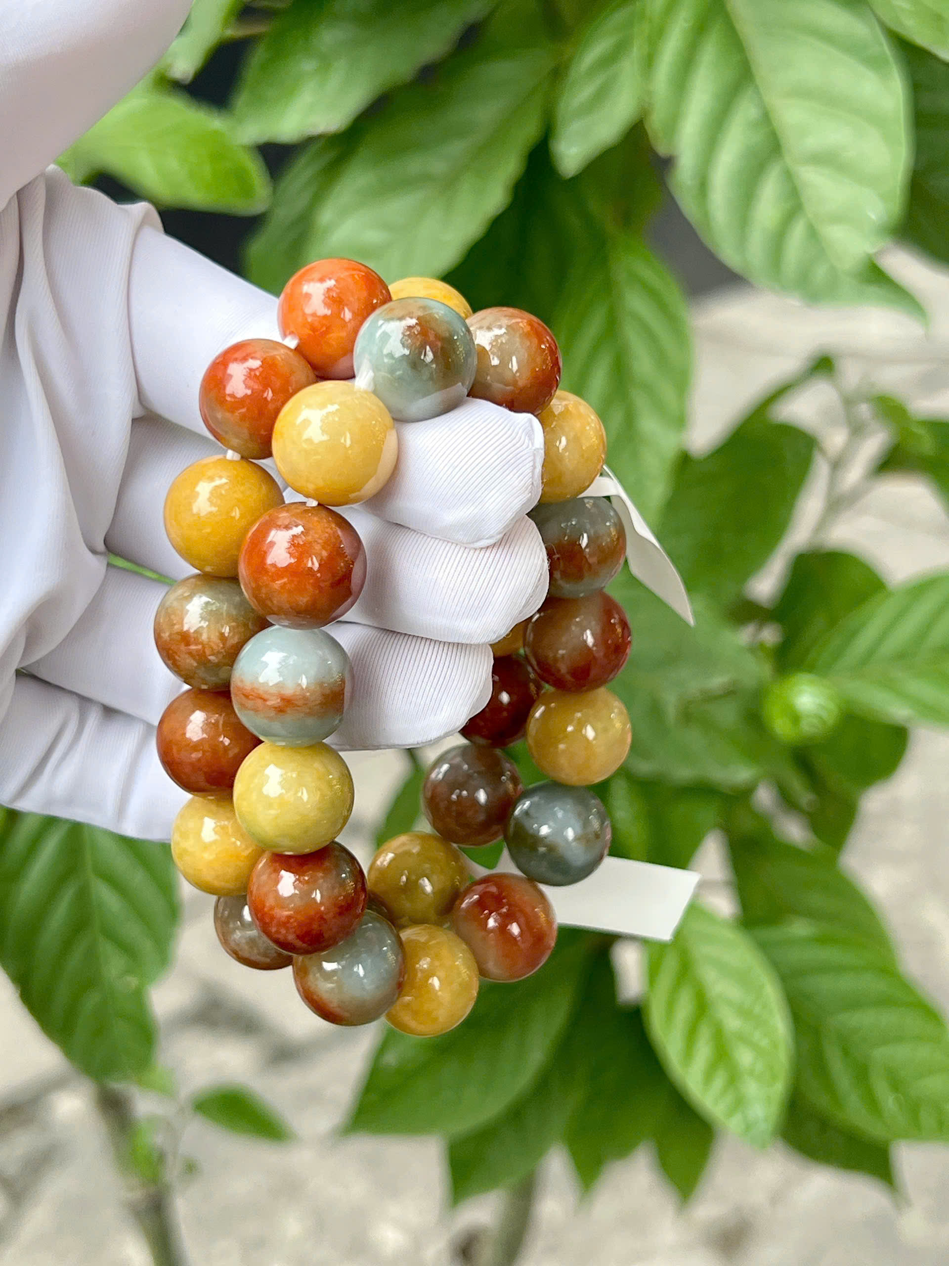 gen-h-z7318577696361_d59371a48b944058dfb6be0c69d82469