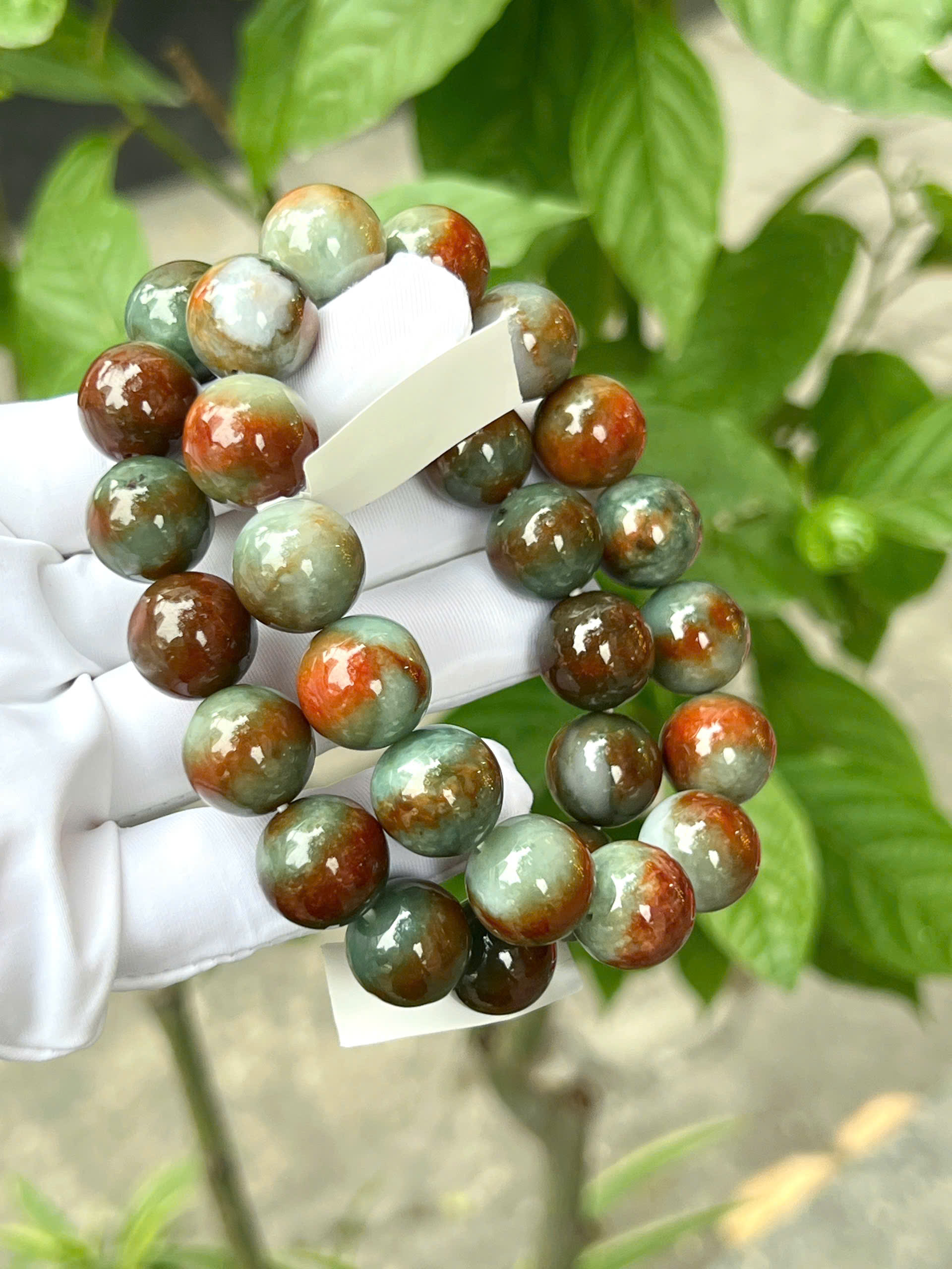 gen-h-z7318577716237_d3b6f47967e2d64963124b1ede952d17