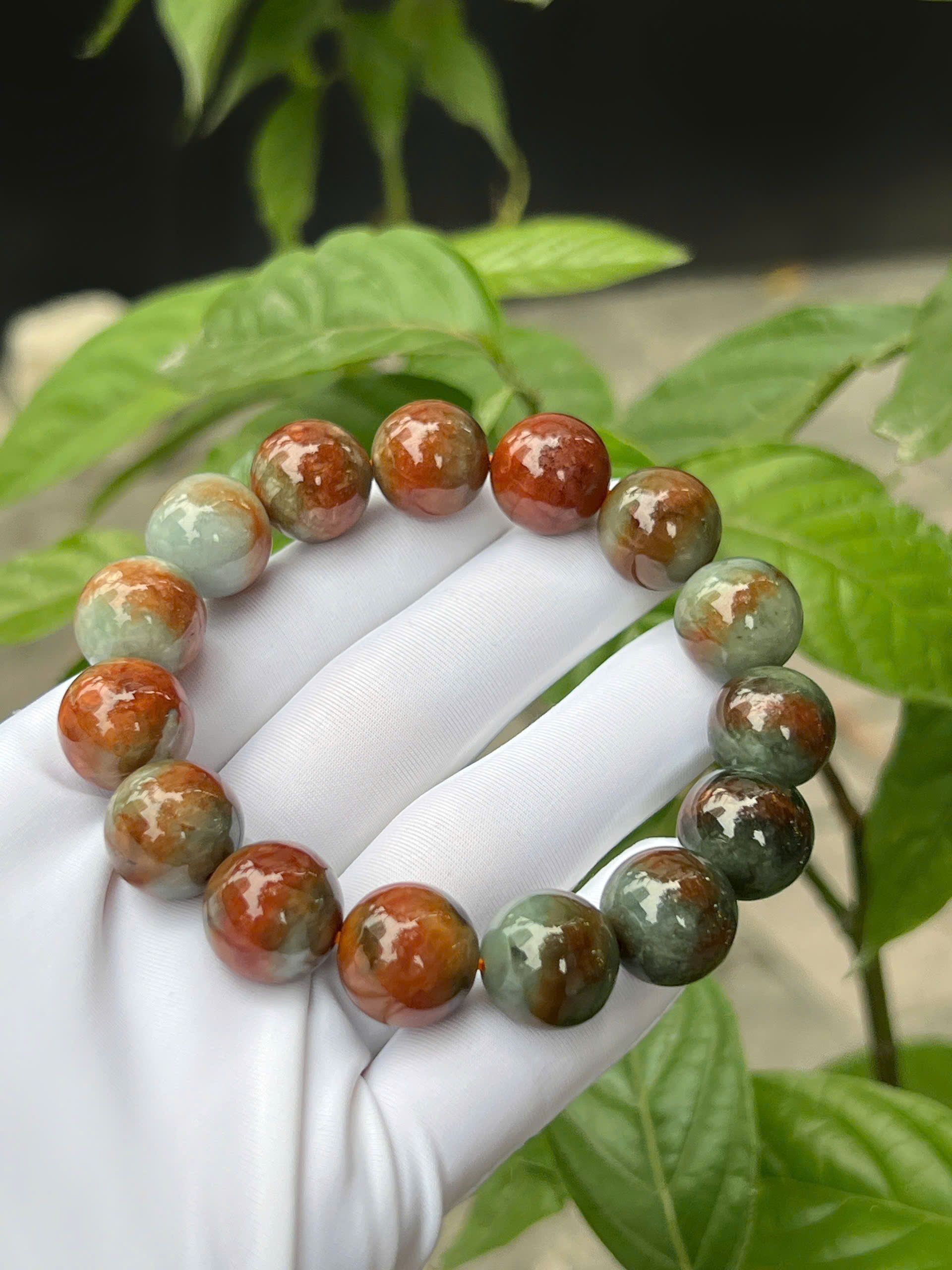 gen-h-z7318577744508_254e9489afc8dcd61b40fef33b4ec0b2